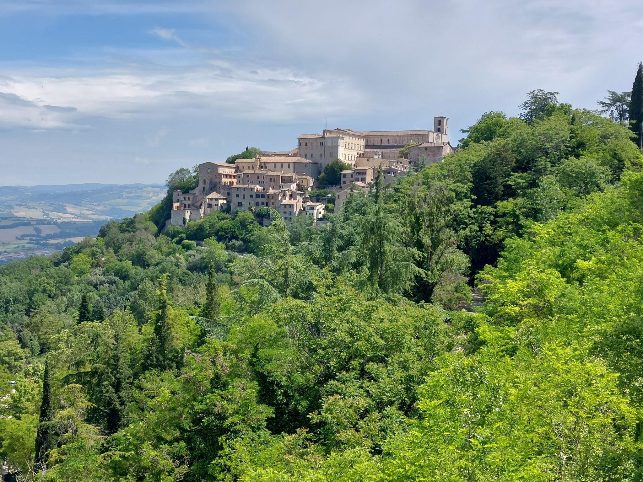 Todi