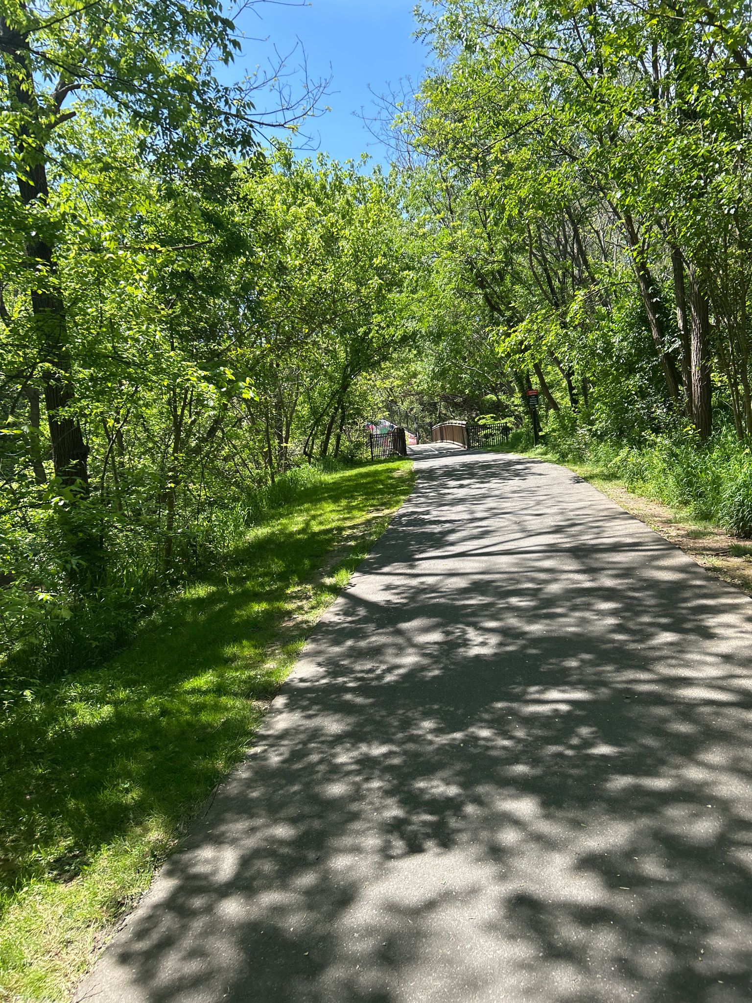 Sunny paved path winding through a lush green forest with dappled light. - Little Sugar Creek Greenway: Cordelia Park
