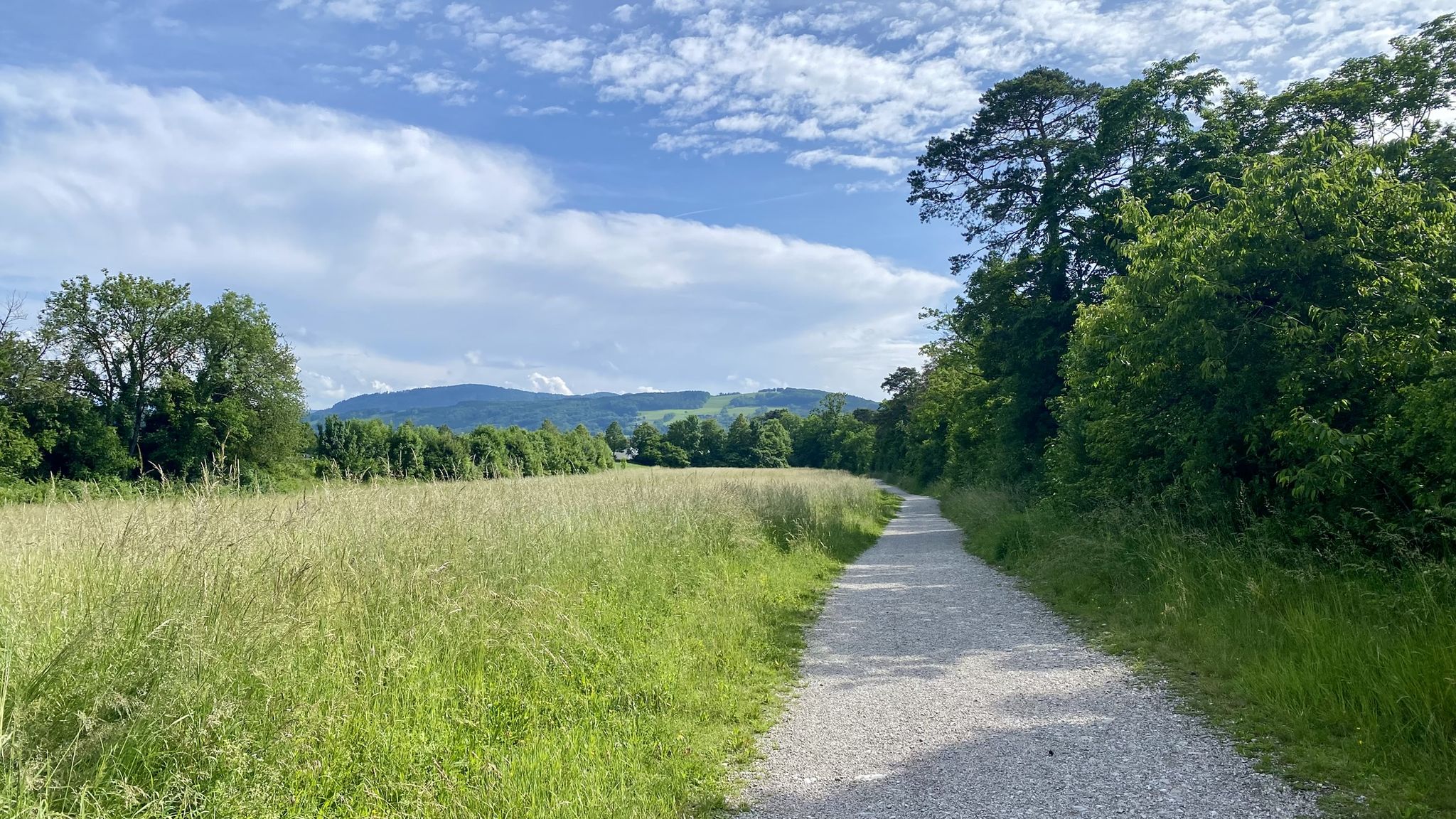 Blick Süden