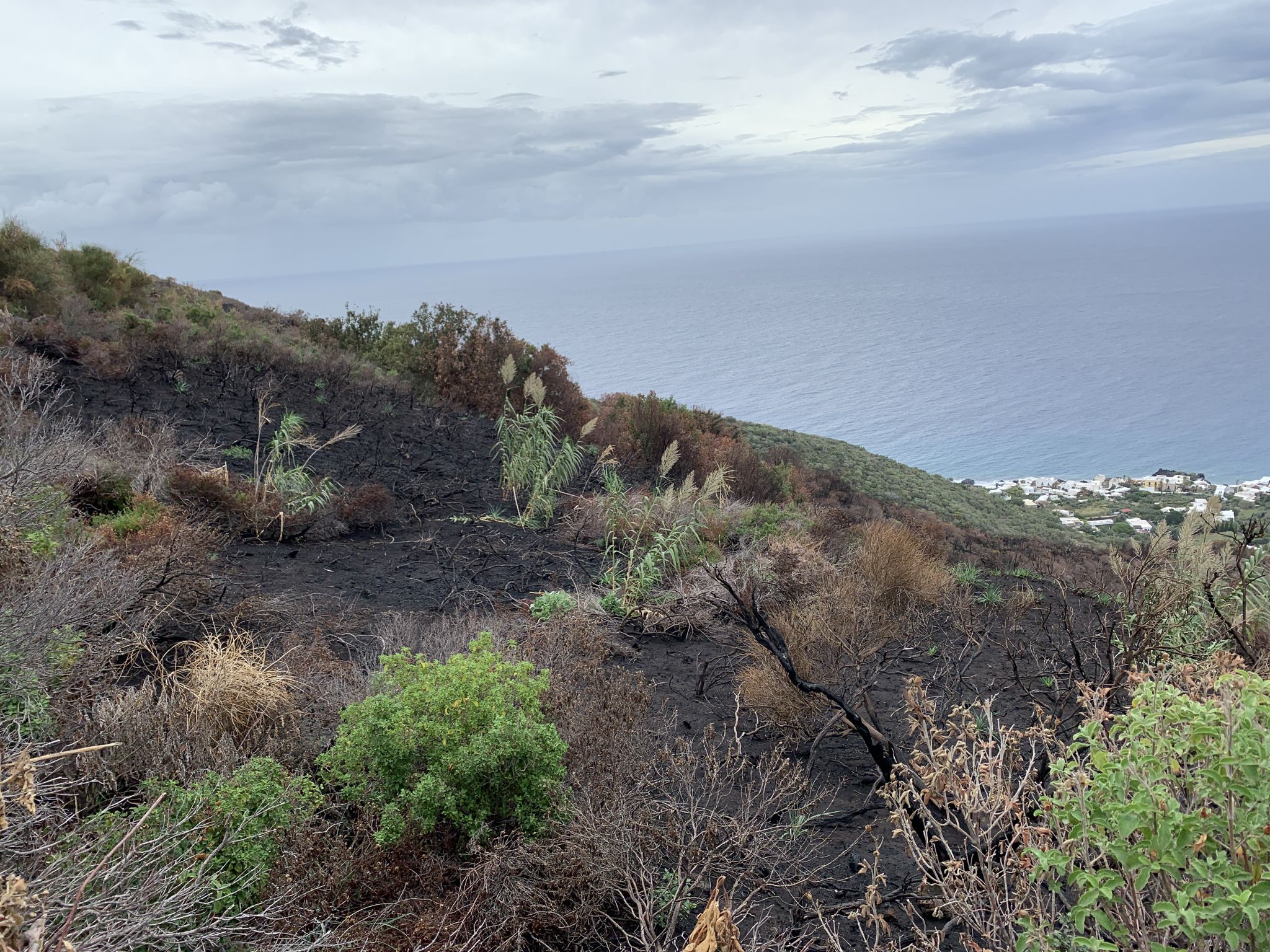 Brandstelle des Vulkanausbruchs in 2019