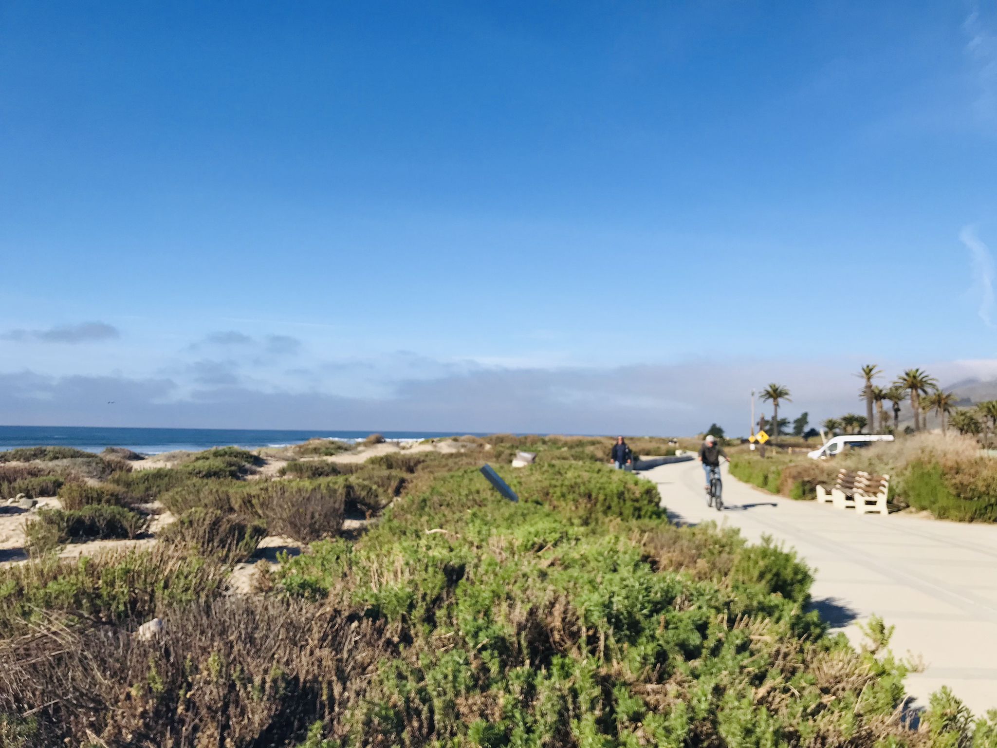 Paved path by sandy beach with vegetation, ocean, and a person cycling. - Ventura Waterfront loop