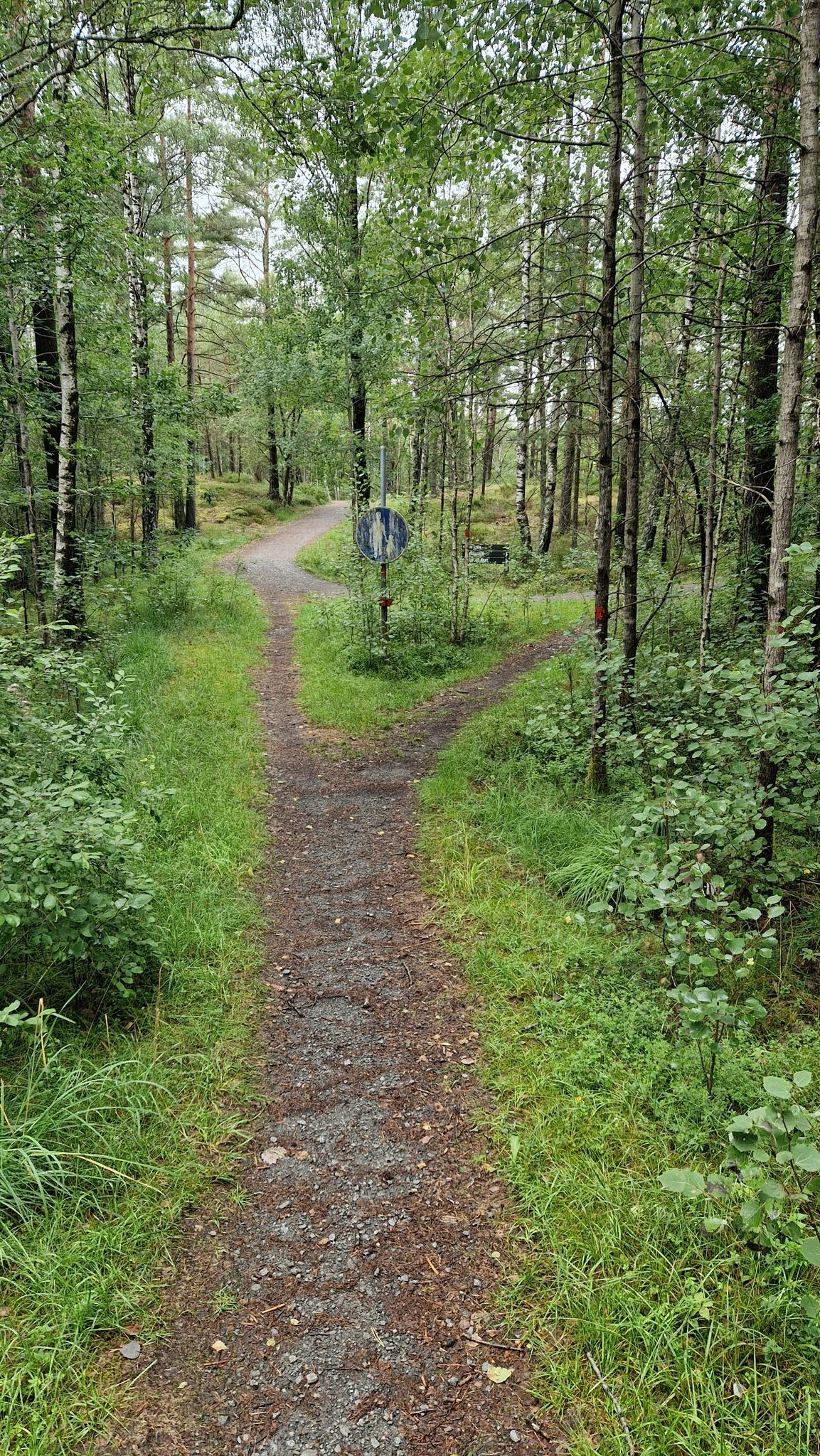 Tysjön runt