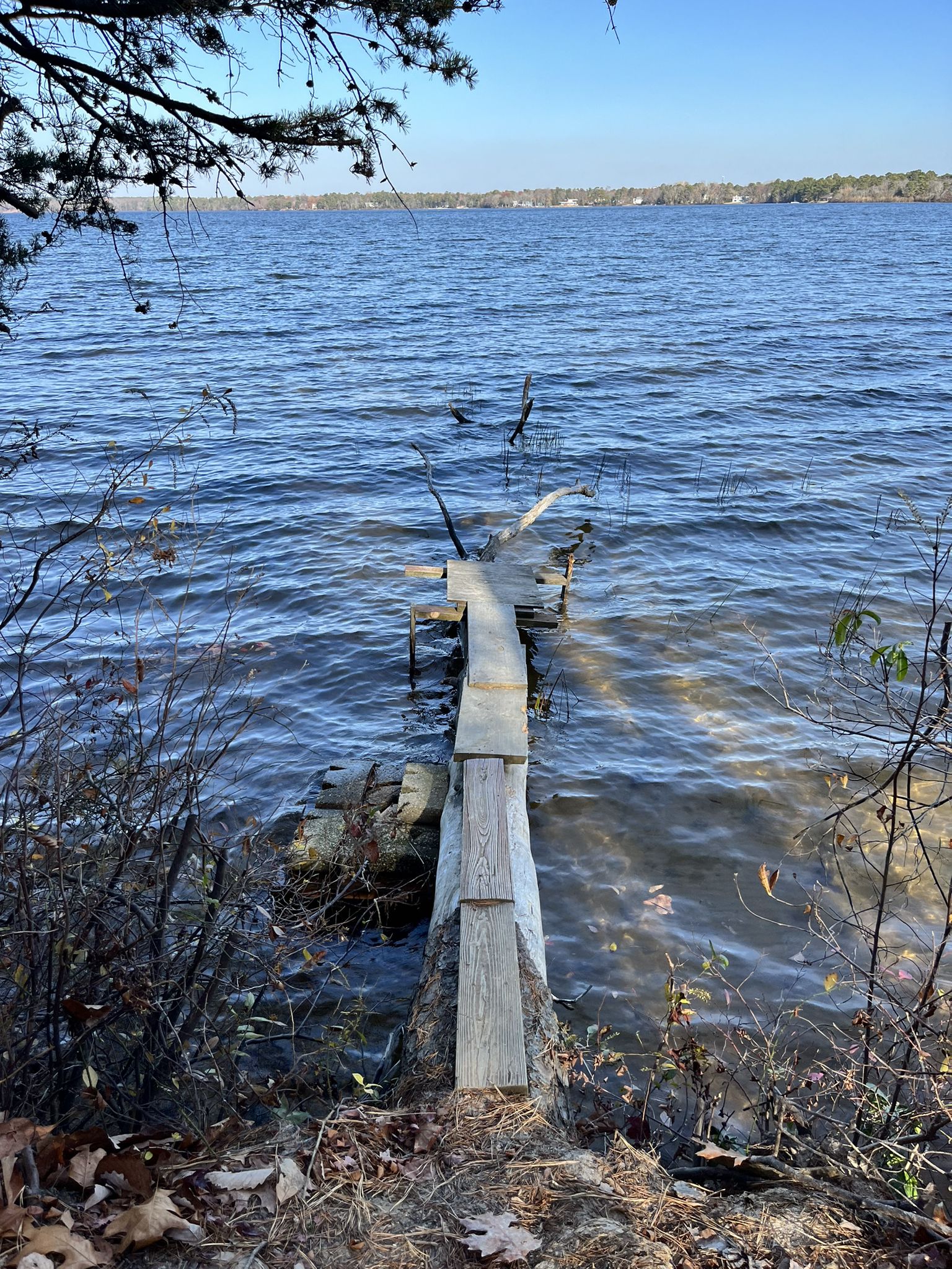 A rustic wooden dock extends into a calm, blue lake on a sunny day. - Union Lake Trail