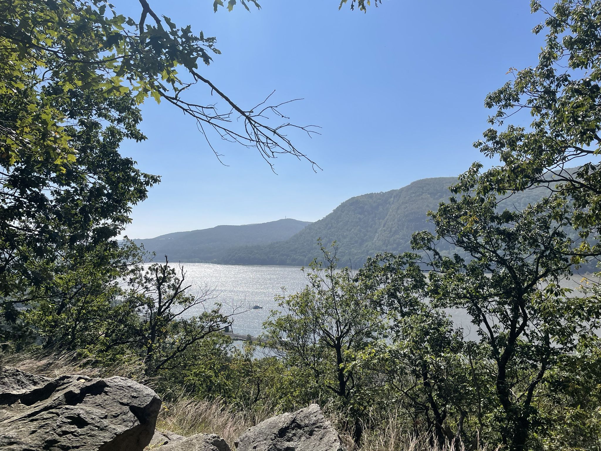 Glimpse of a sparkling river through green tree branches on a sunny day. - Nelsonville Trail – Parking spot loop from Cold Spring