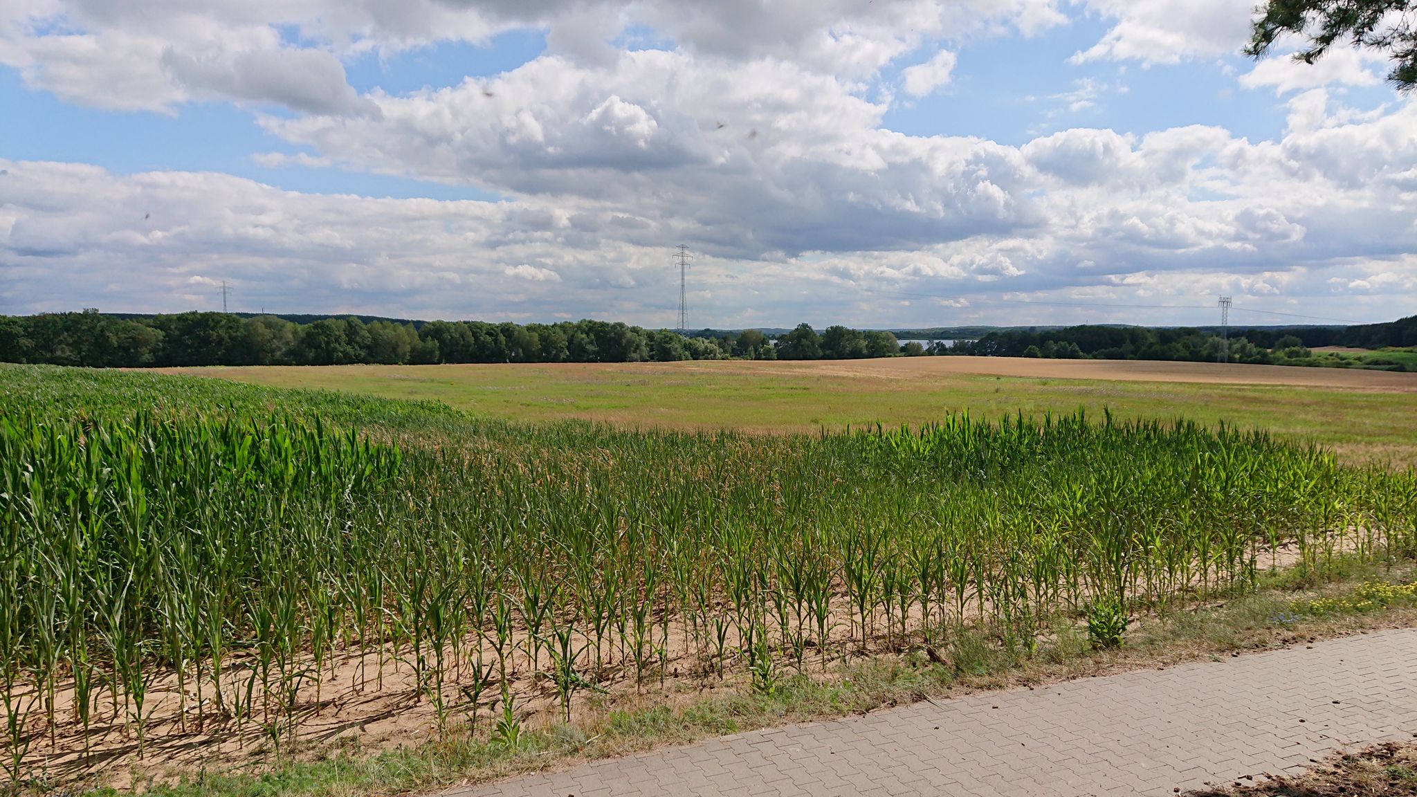 Im Hintergrund der Woblitzsee