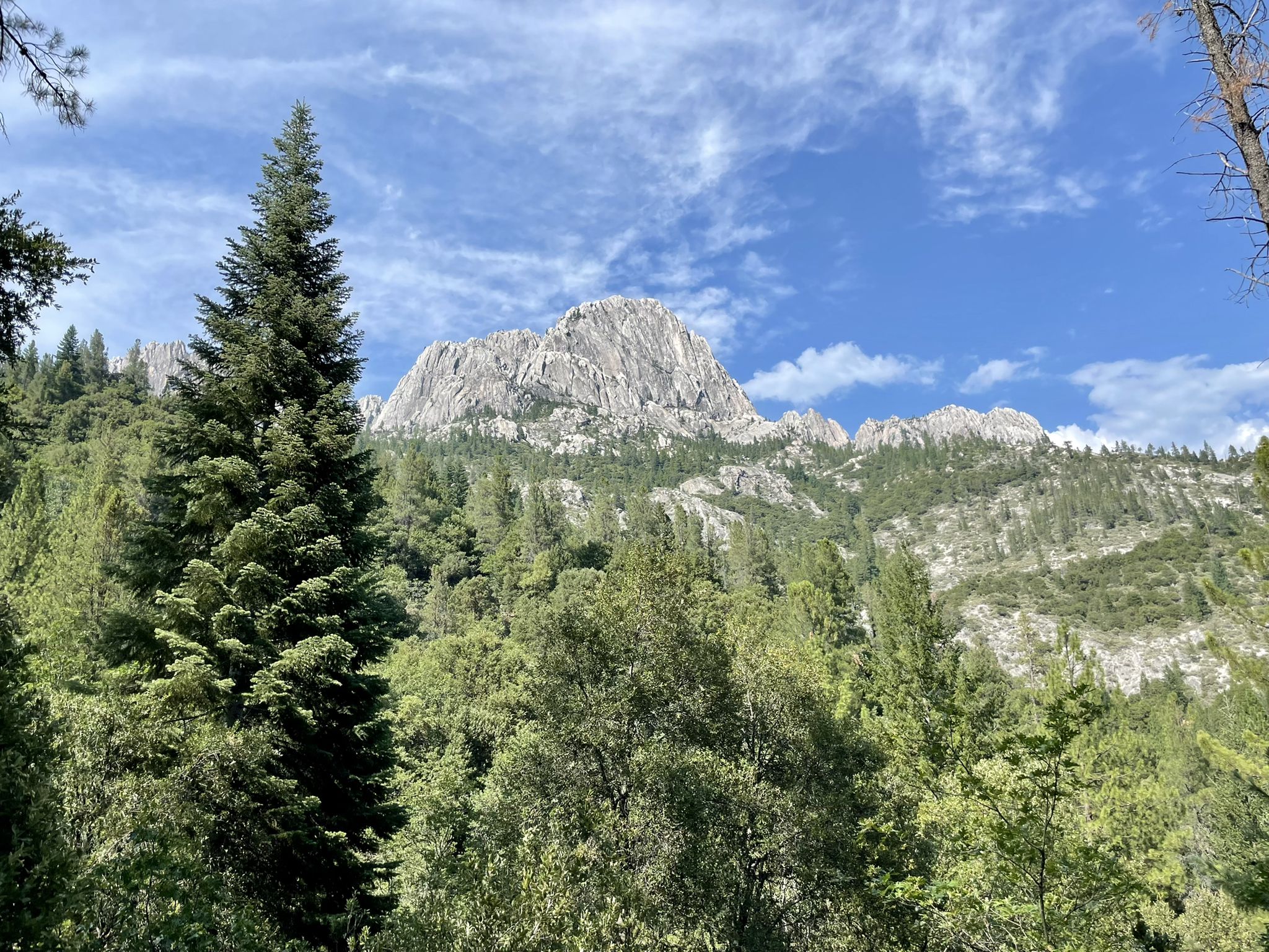 A large rocky mountain peak rises above a dense green forest under a bright sky. - Pacific Crest, Sulphur Creek and Dog Trail Loop