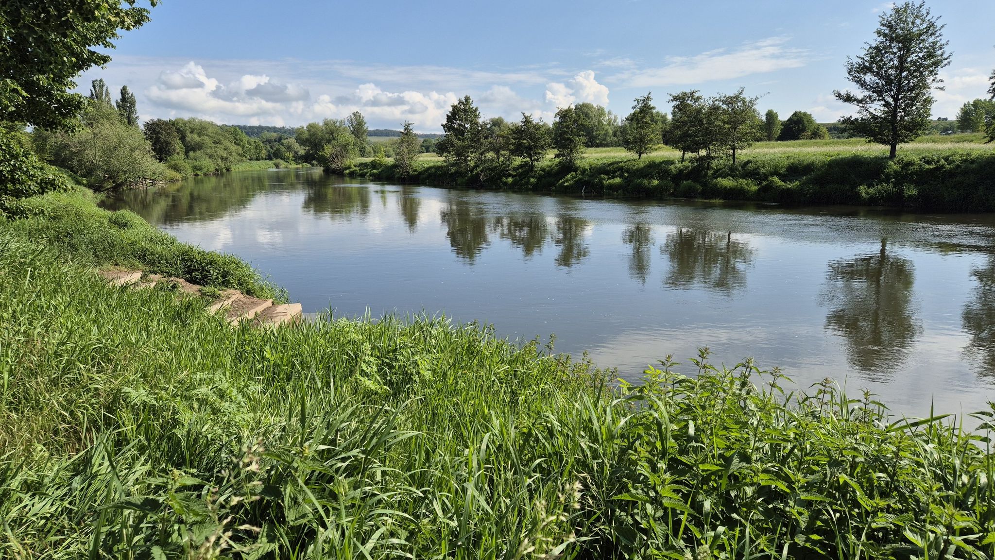 Die Saale in Naumburg