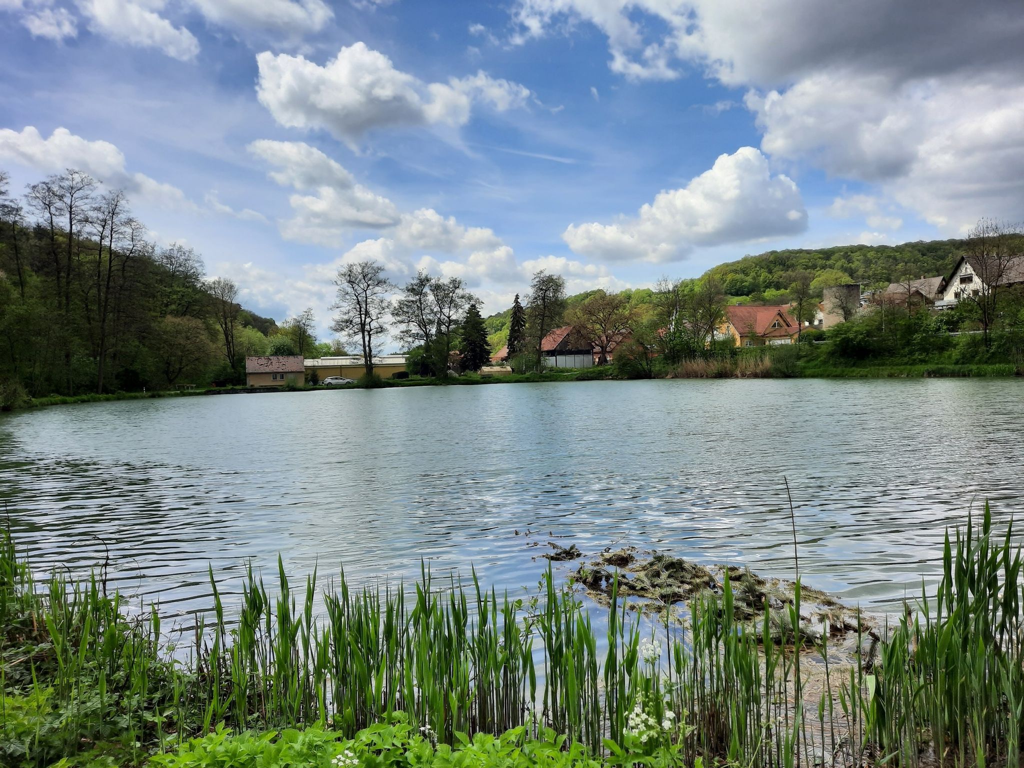 Dorfweiher in Marktsteinach