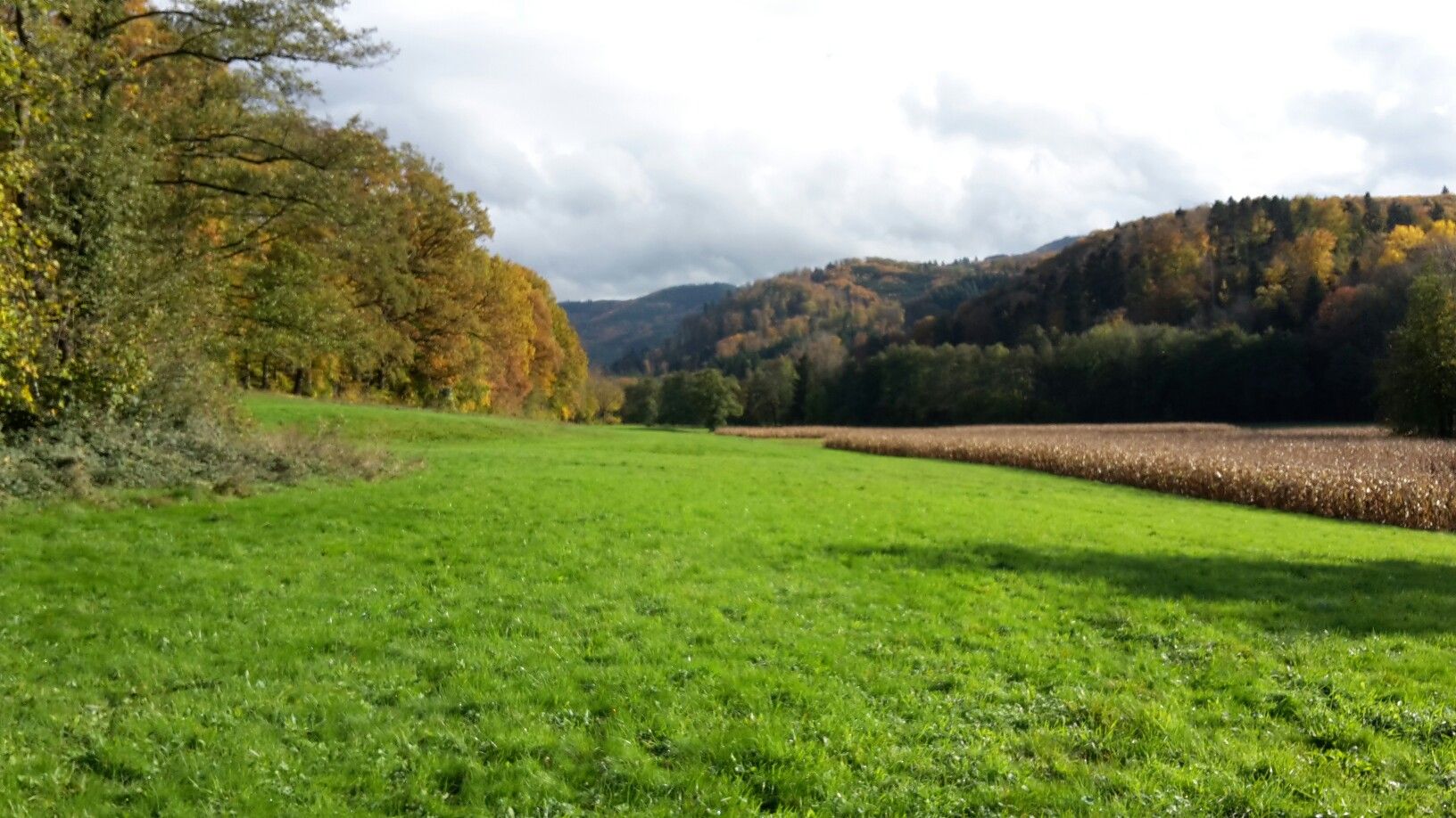 Ehrenstetter Grund