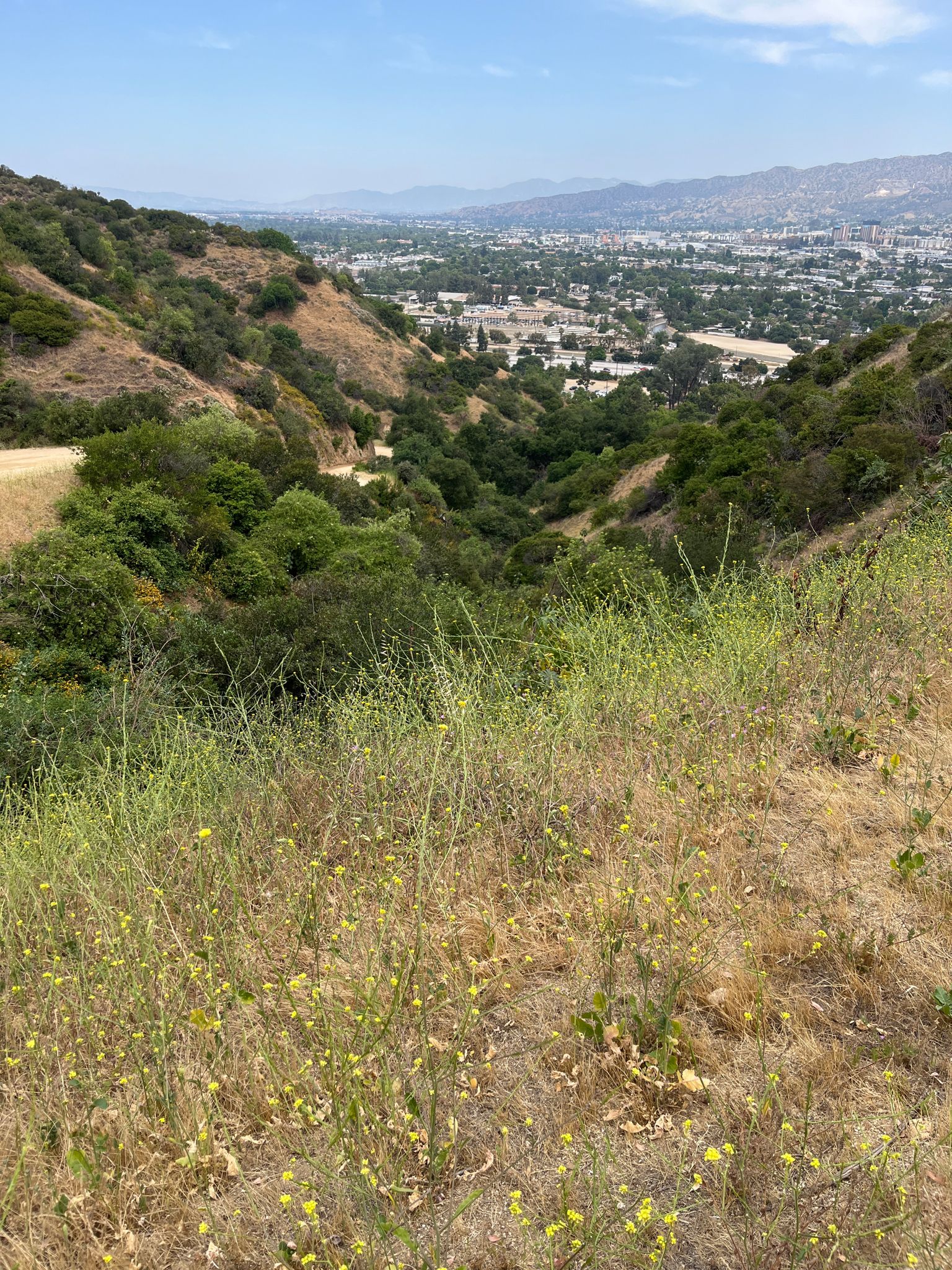 Overlook of a green valley with a town nestled below on a clear day. - Condor, Skyline and Rattlesnake Trail