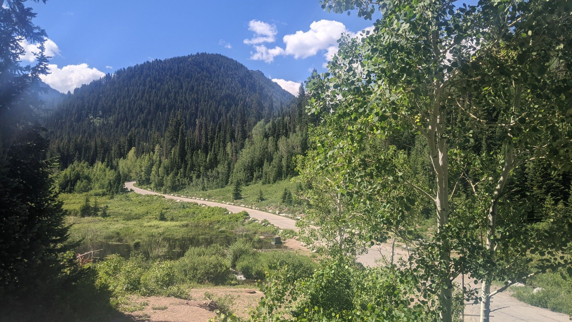 A winding road through a green valley with a forested mountain under a sunny sky. - Donut Falls Trail
