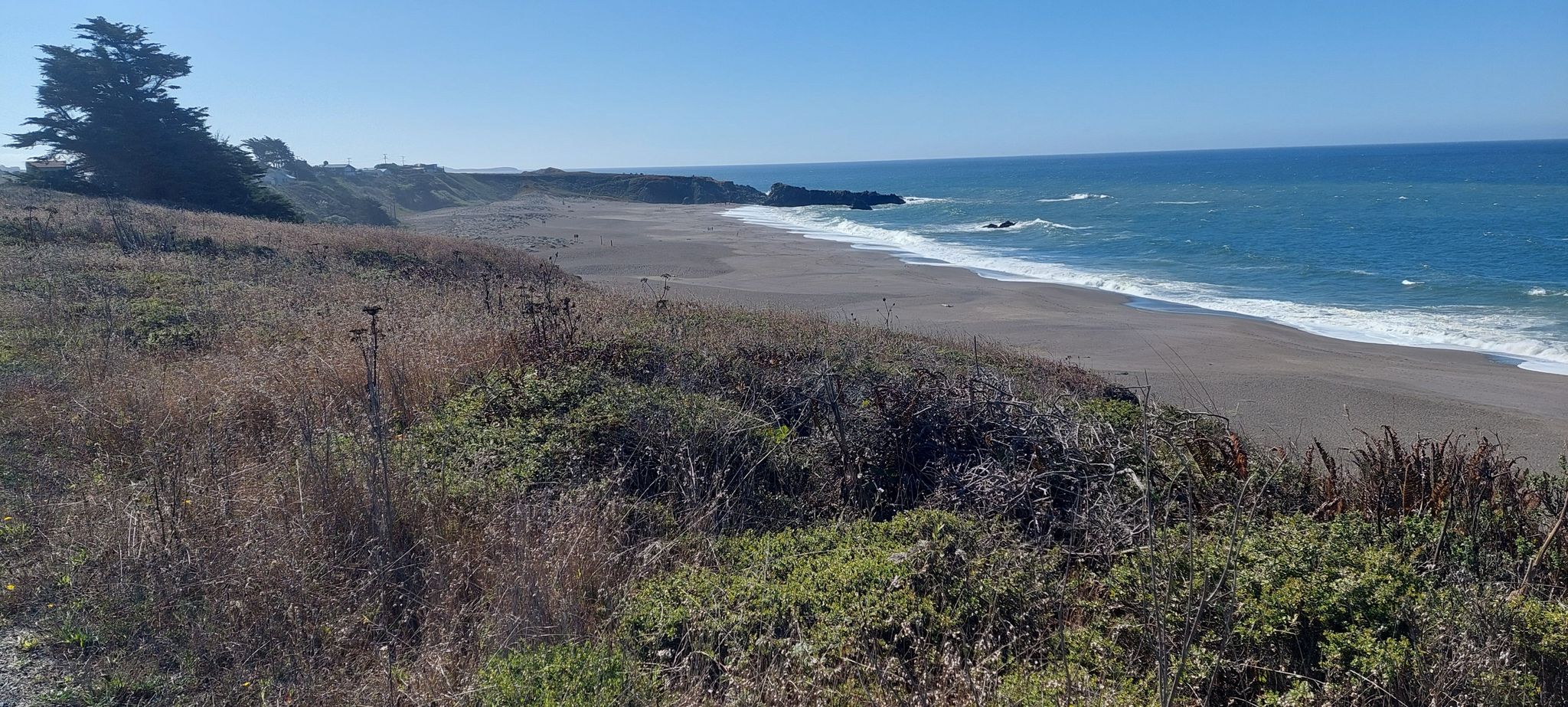 Expansive view of a sunny, rugged coastline with a wide beach and blue ocean. - Kortum Trail from Shell Beach to Wrights Beach