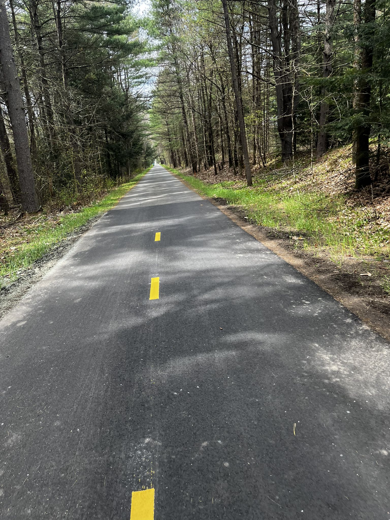 Paved path with yellow lines through a sunlit forest. - Fort River Bridge loop from Mount Holyoke Range State Park