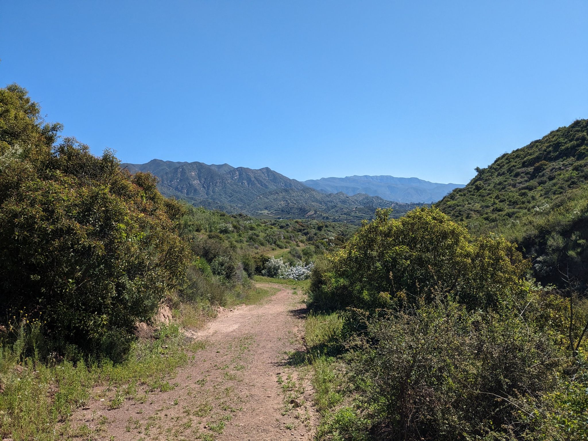Dirt path winding through green hills towards distant mountains under a clear sky. - Wills and Rice Canyon Loop