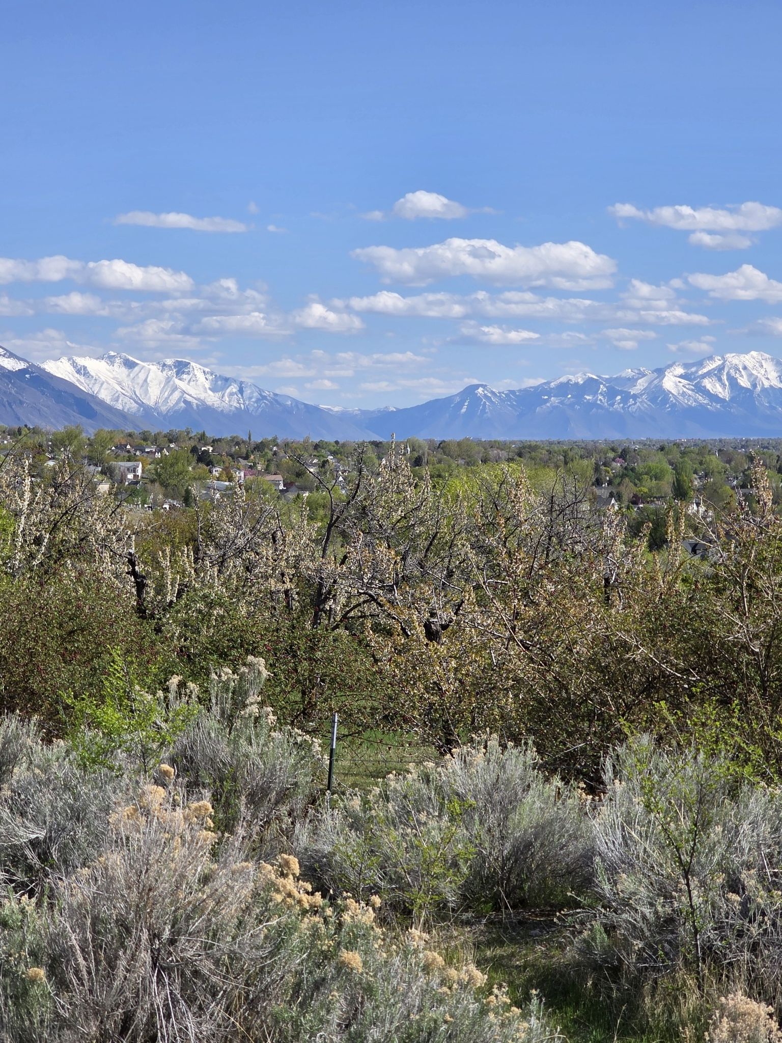 Lush valley foliage, distant town, and snow-capped mountains under a bright blue sky. - Murdock Canal Trail