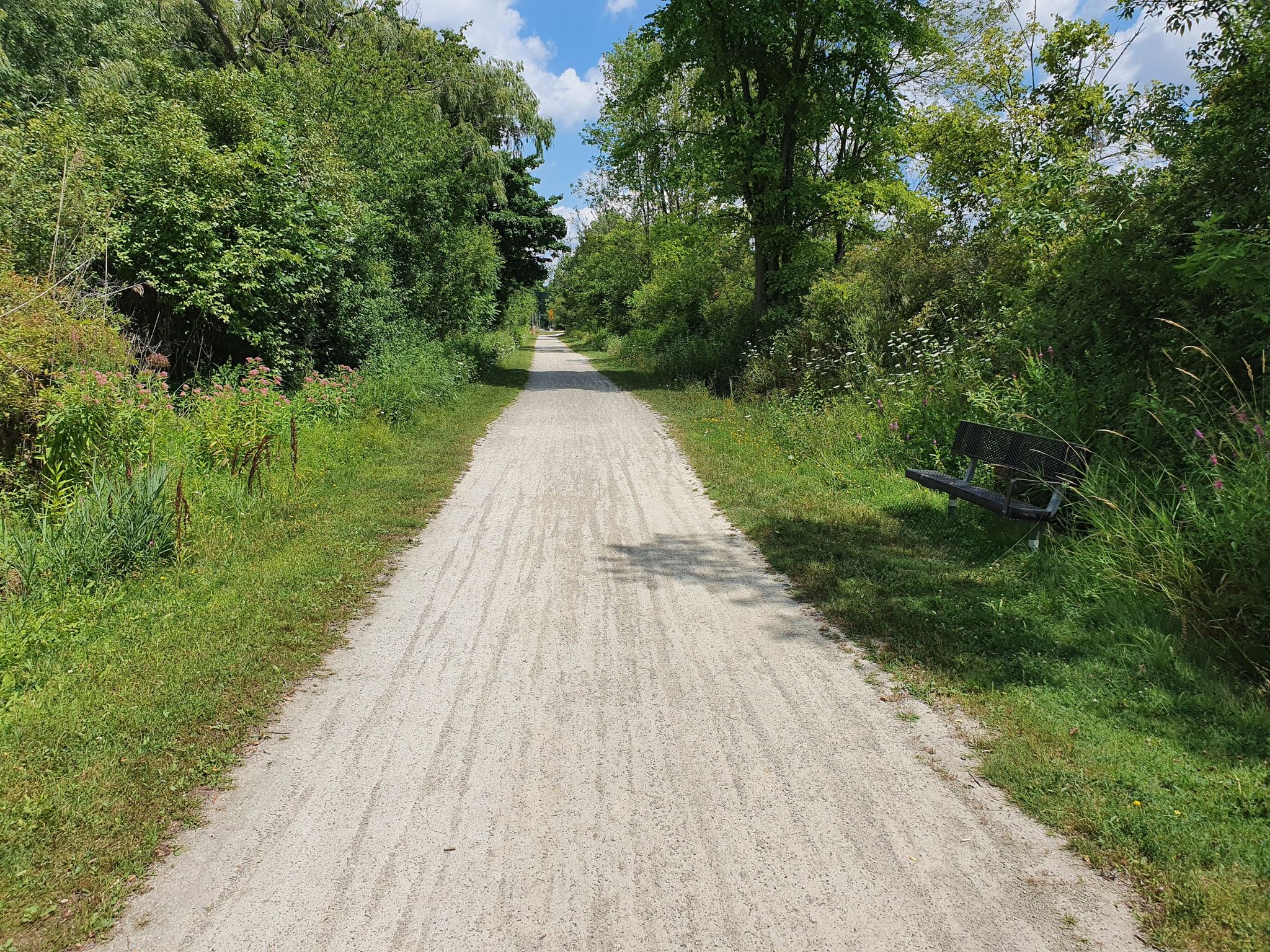 A gravel path with a wooden bench on the side, surrounded by green foliage. - Commerce Township Bridge loop from Harmon Oaks Wood
