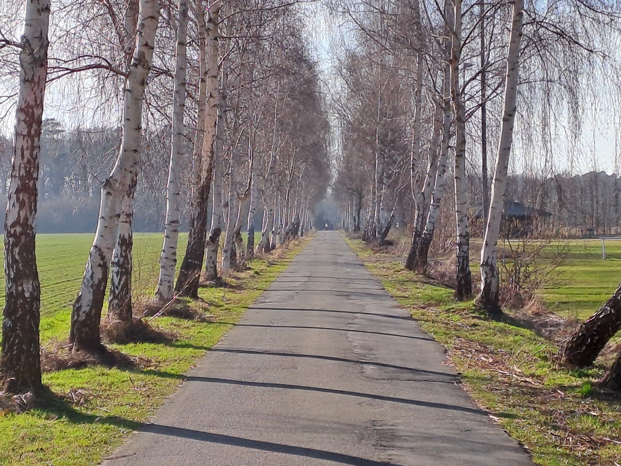 Franzosenweg Ribbesbüttel -> Vollbüttel