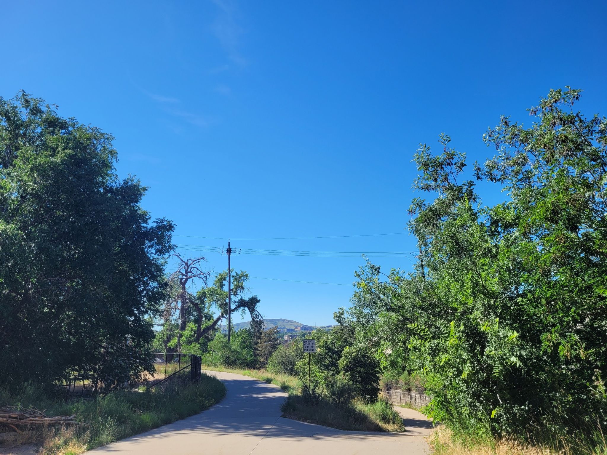 Paved path winding through green trees under a clear, bright blue sky. - Bridge into Golden – Tucker Gulch loop from Arvada