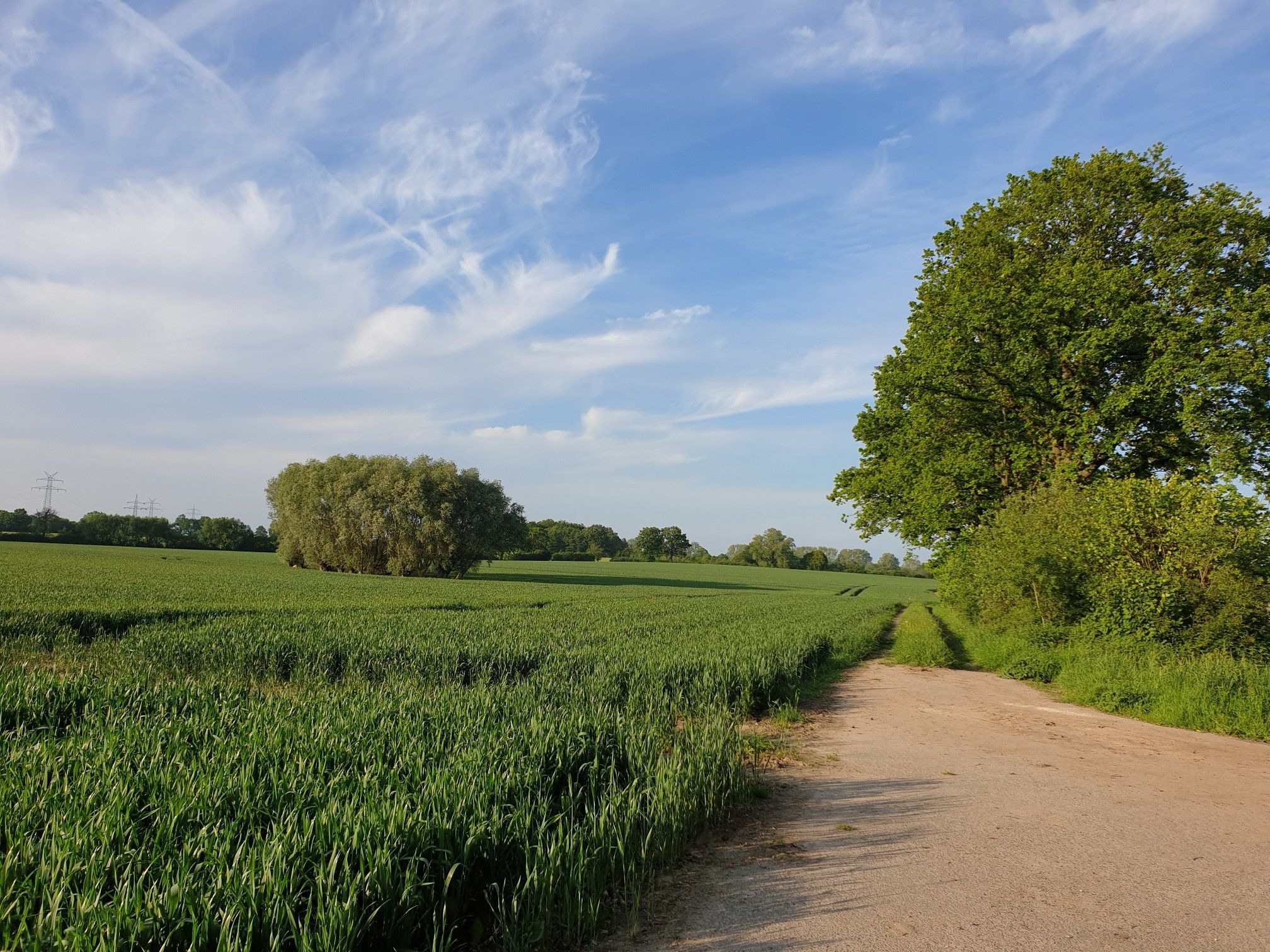 Steh- Imbiss mit Aussicht