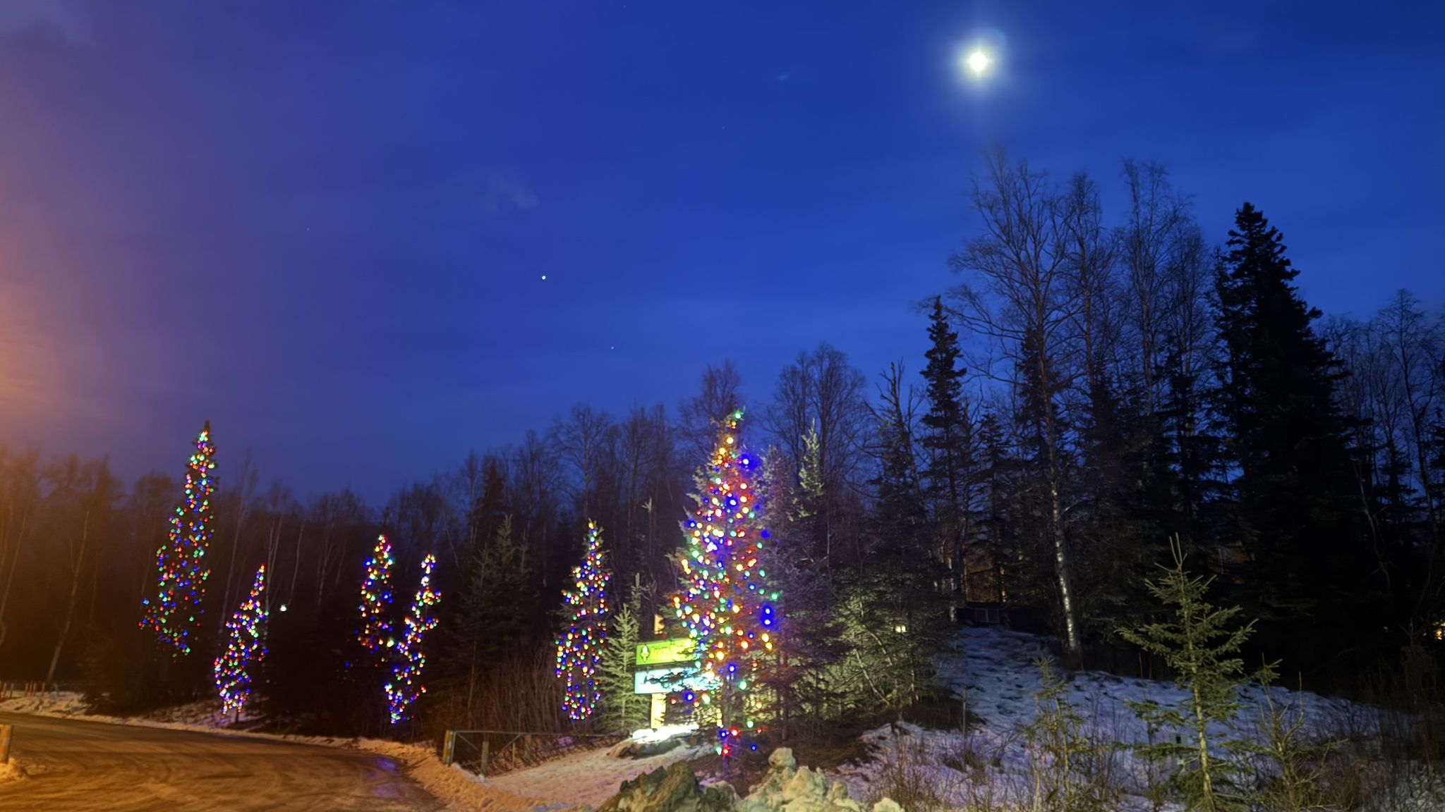 Night scene with illuminated trees, a forest, and a bright moon in a dark sky. - FNBP to Glenn Hwy Trail
