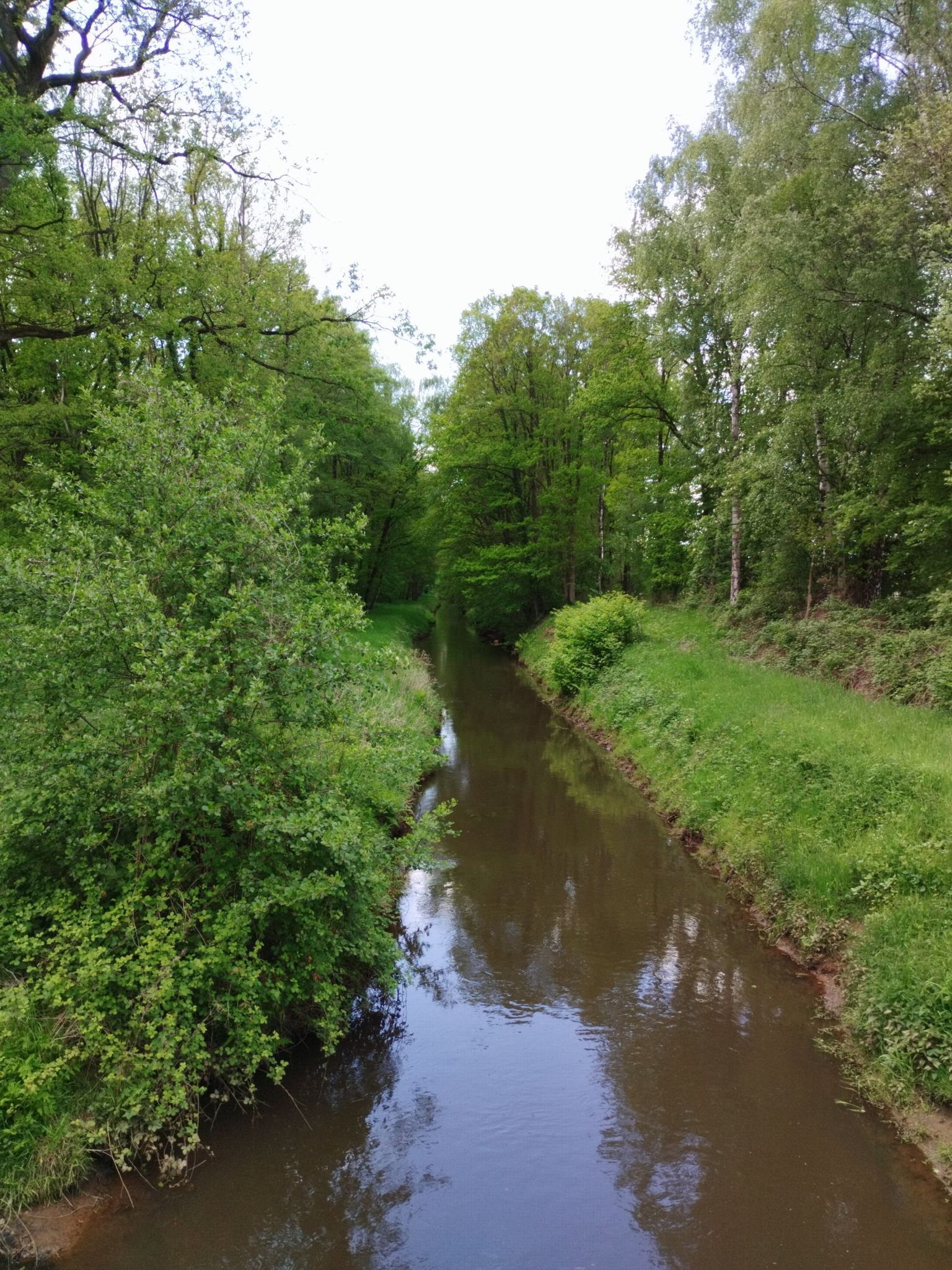 Hahnenmoor