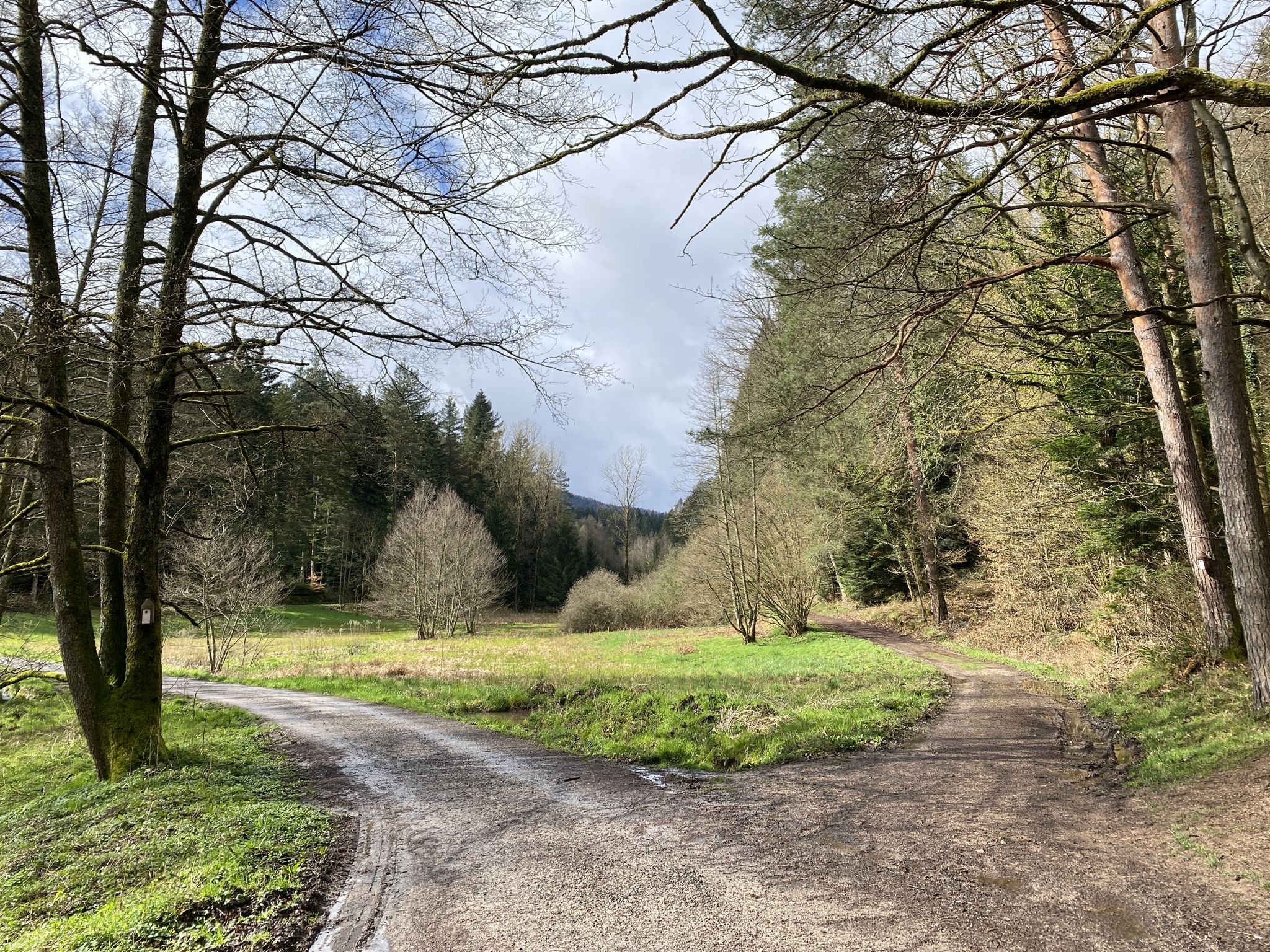 Sonniger Start in die Salzwiesen