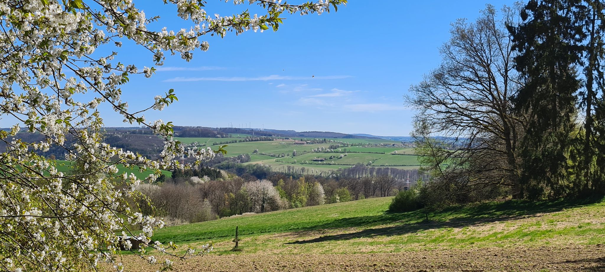 Schöne Landschaft