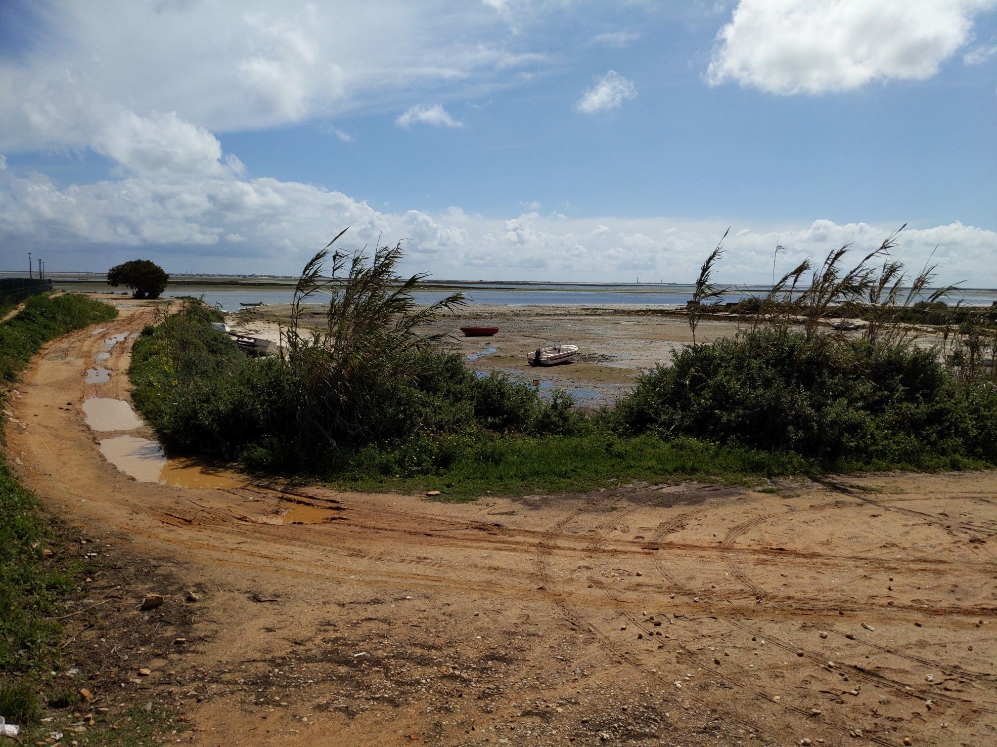 The Rio Formosa