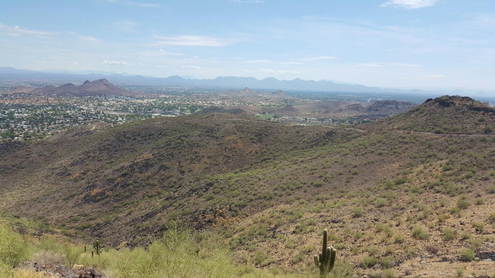 Sunny desert hills overlook a sprawling city with distant mountains. - Shaw Butte Summit loop from Sunnyslope Mountain