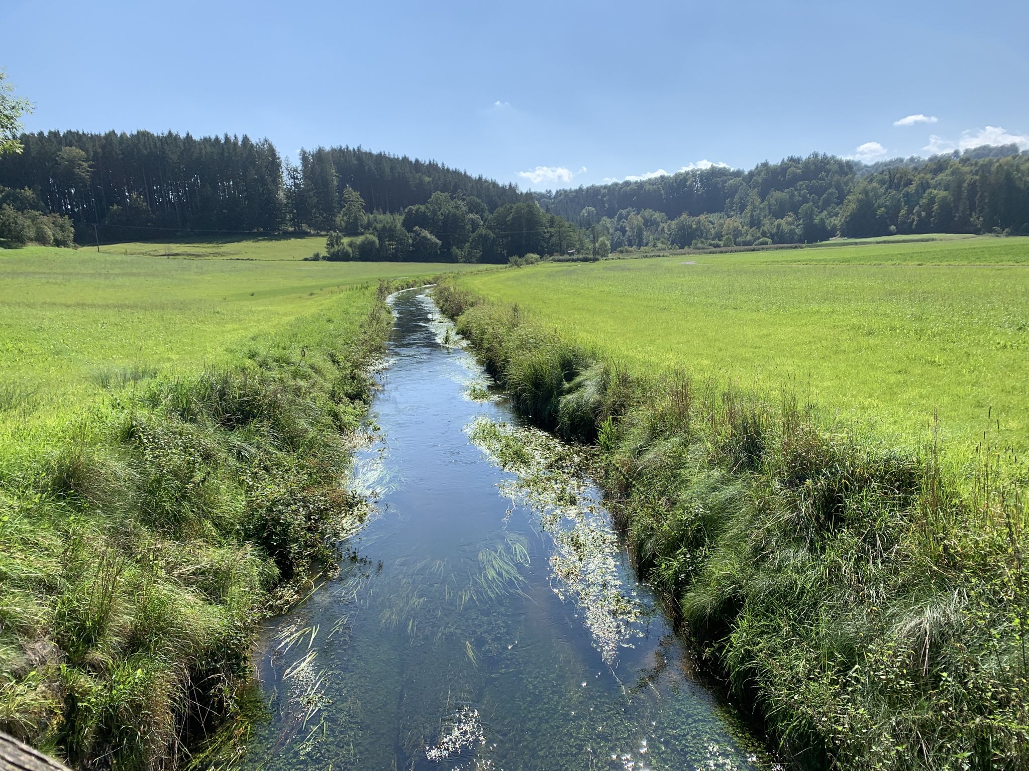 Kupferbach bei Reisenthal