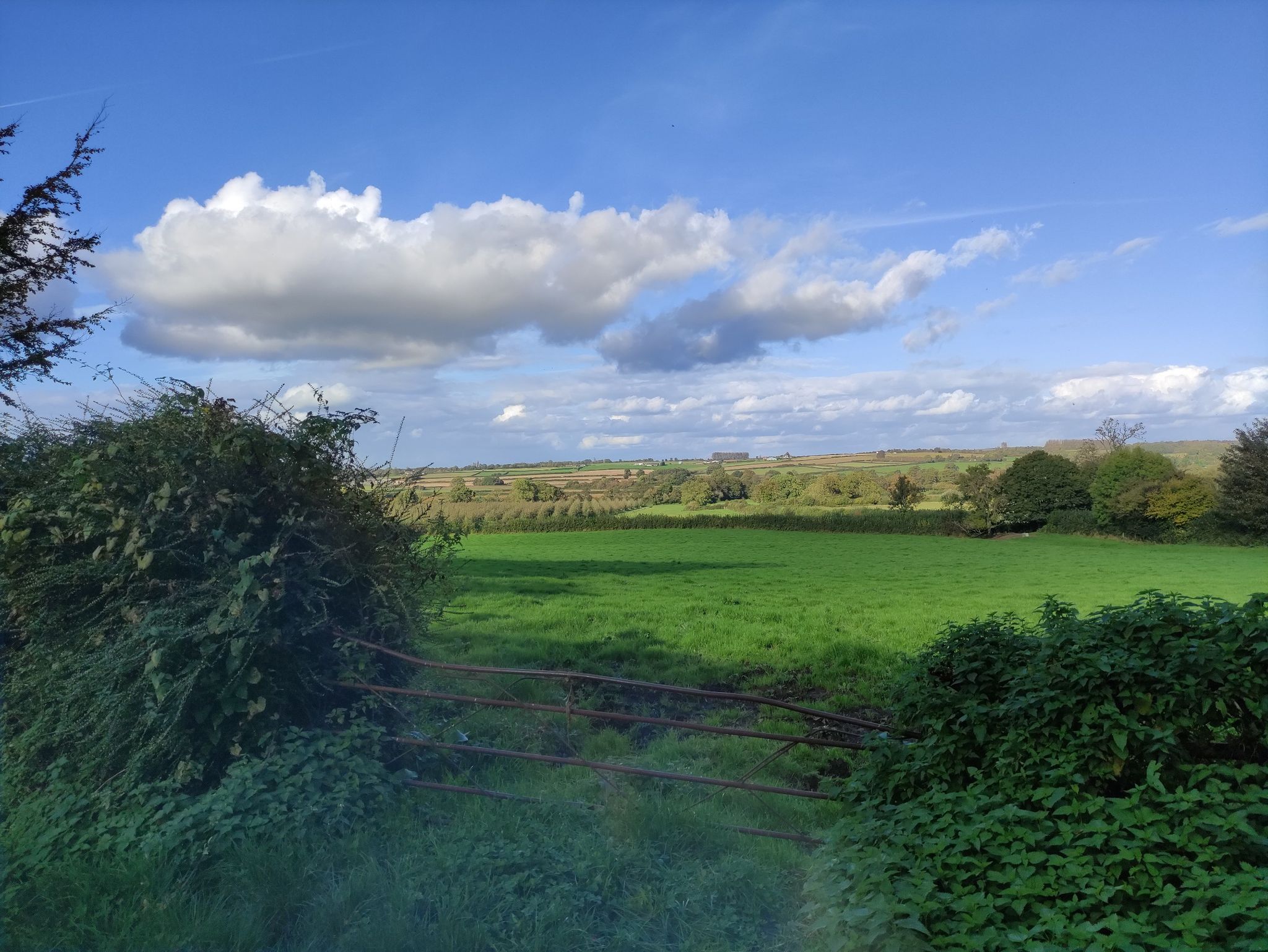 just one of the views on our Hinton St George circular route.