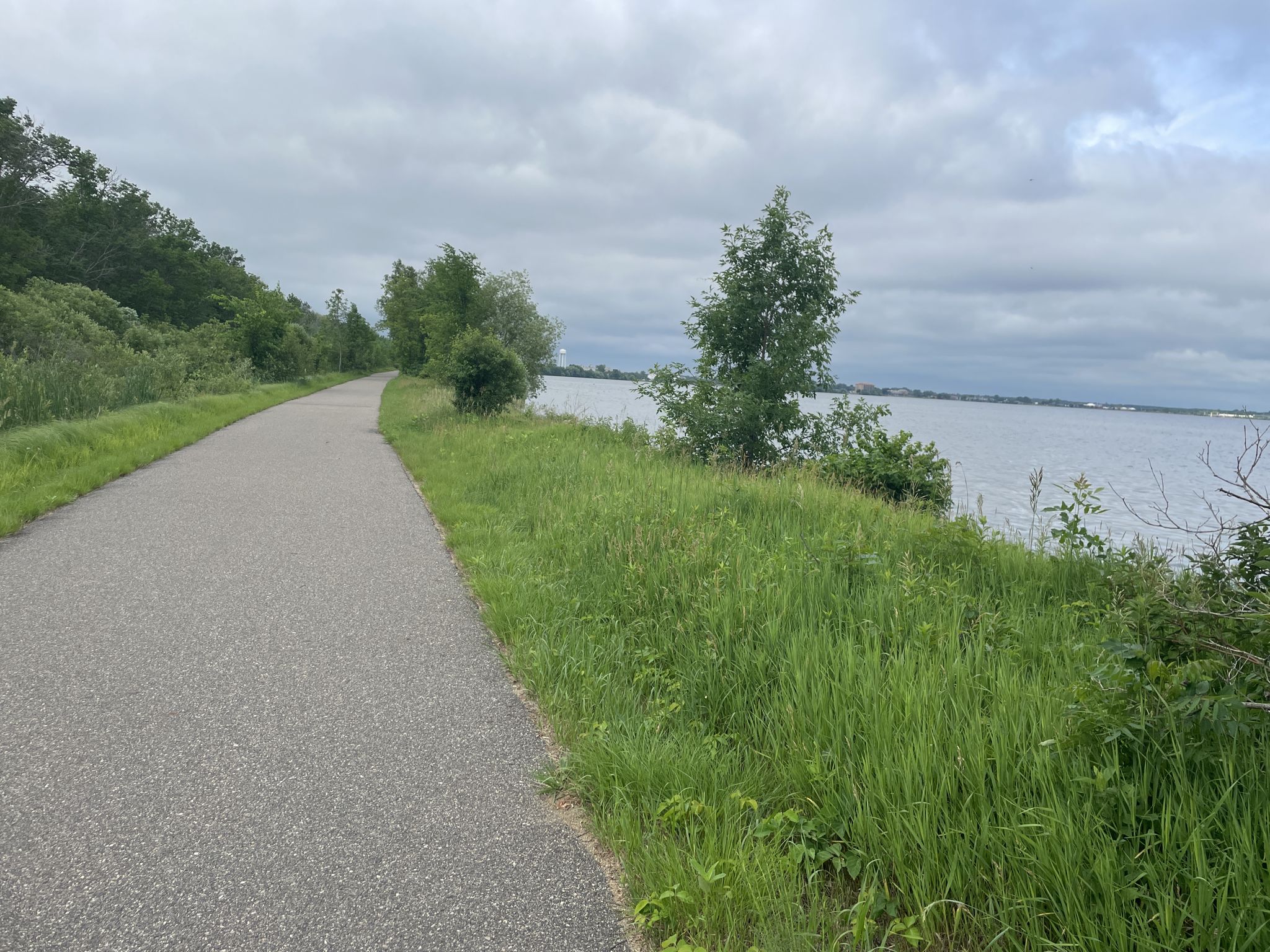 Paved path next to a lake with green grass under an overcast sky. - South Shore Beach loop from Lavinia