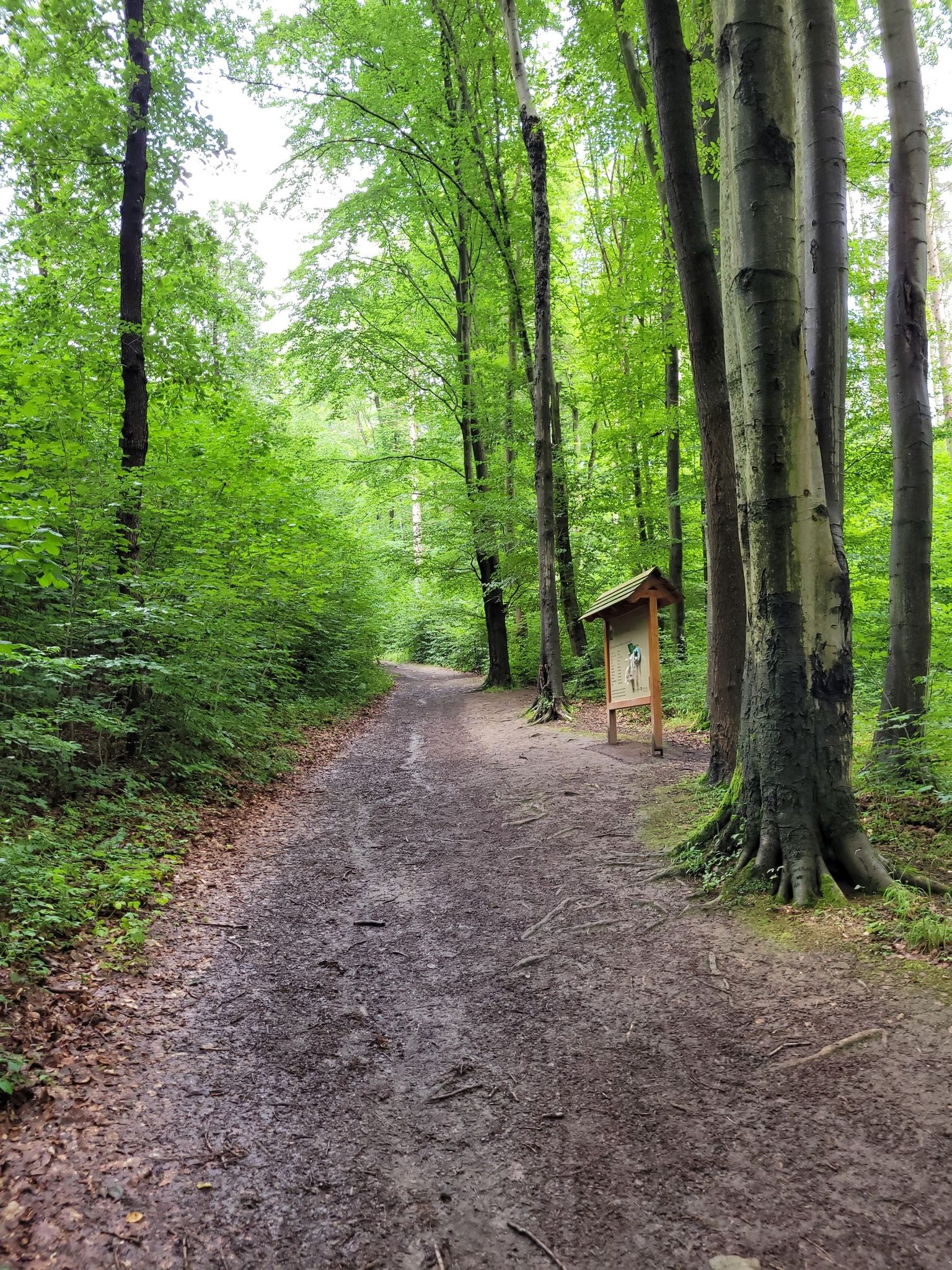 Brotkrumen