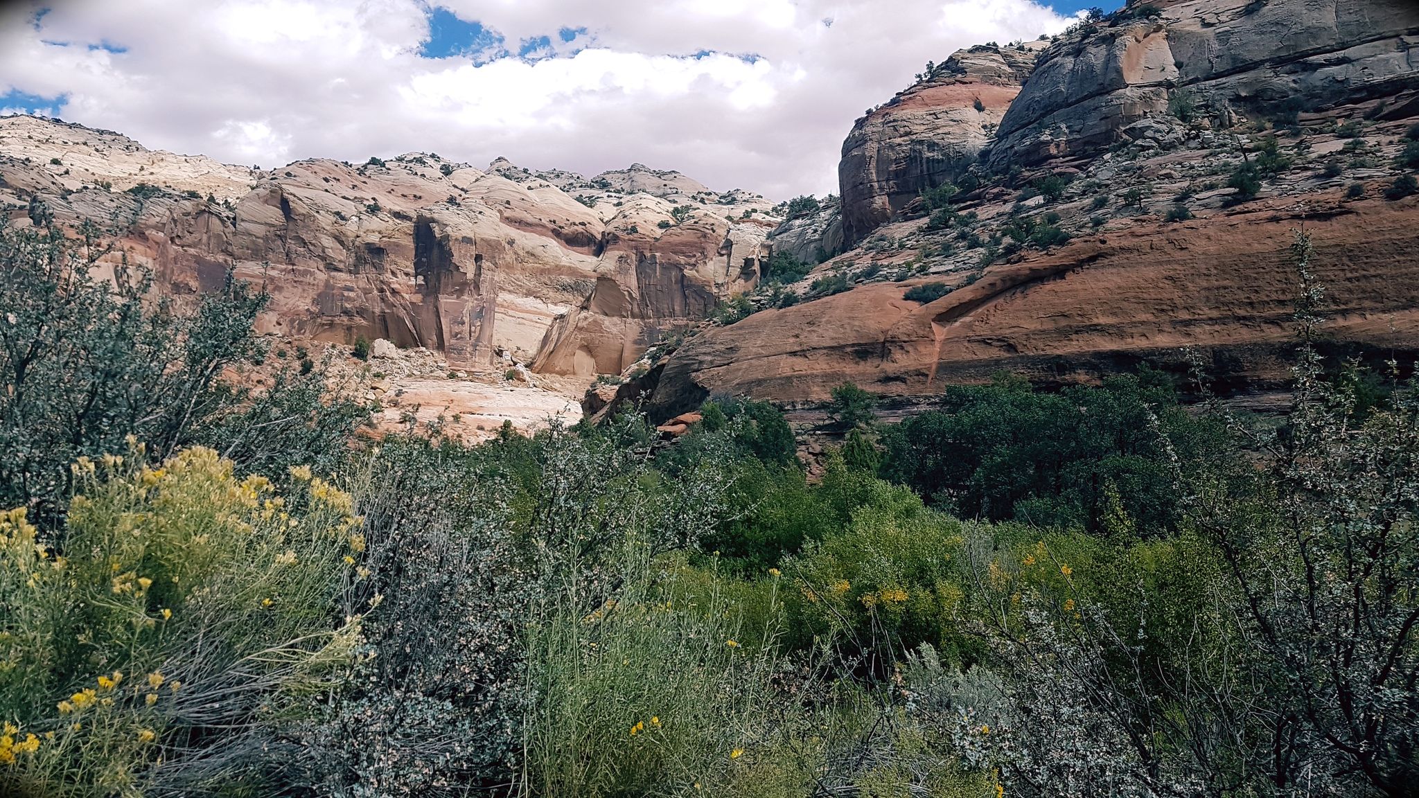 Green bushes and trees in a valley, with layered rock formations under clouds. - Pictographs – Lower Calf Creek Falls loop from Lower Calf Creek Falls