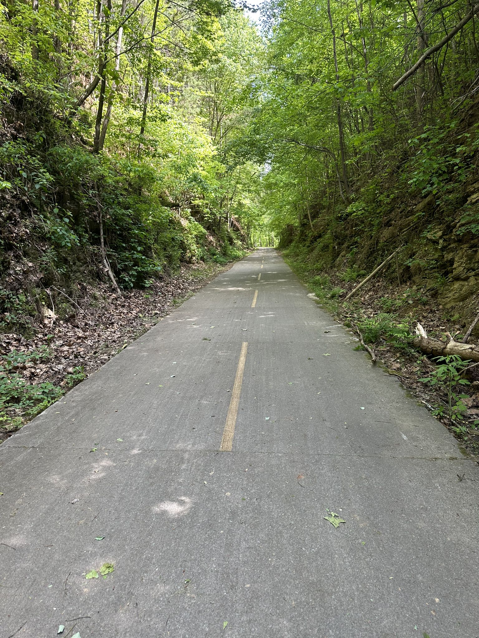 Paved path through a dense green forest with bright, dappled sunlight. - Silver Comet Trail from Coots Lake