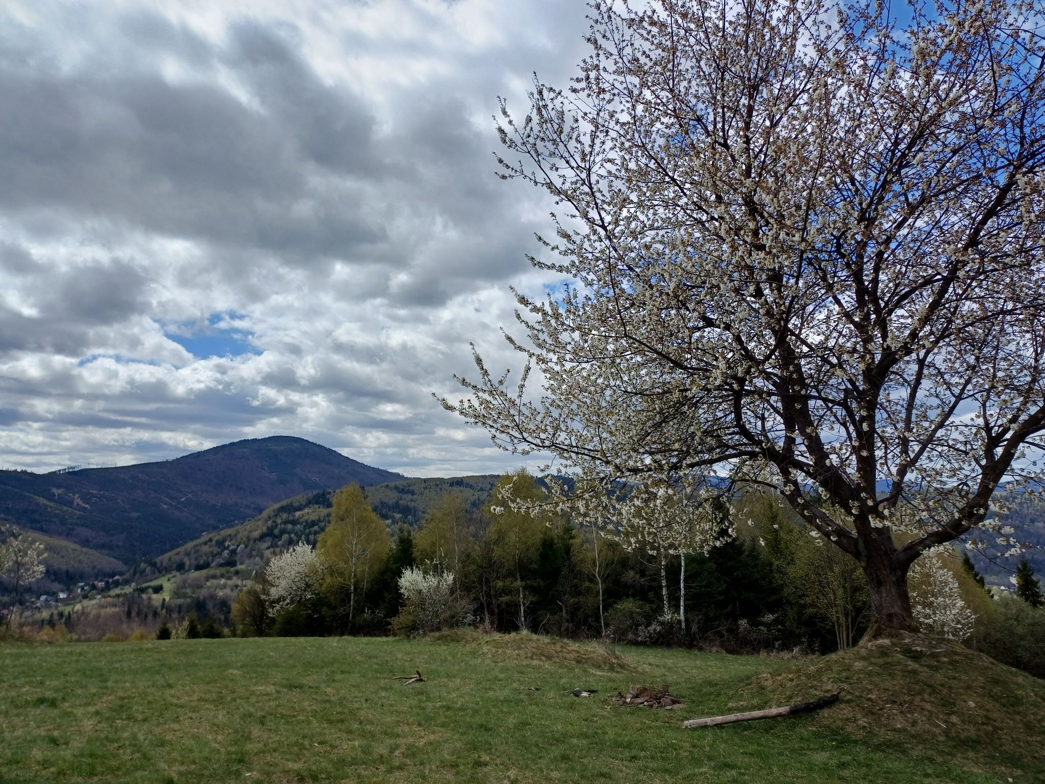 Muńcuł