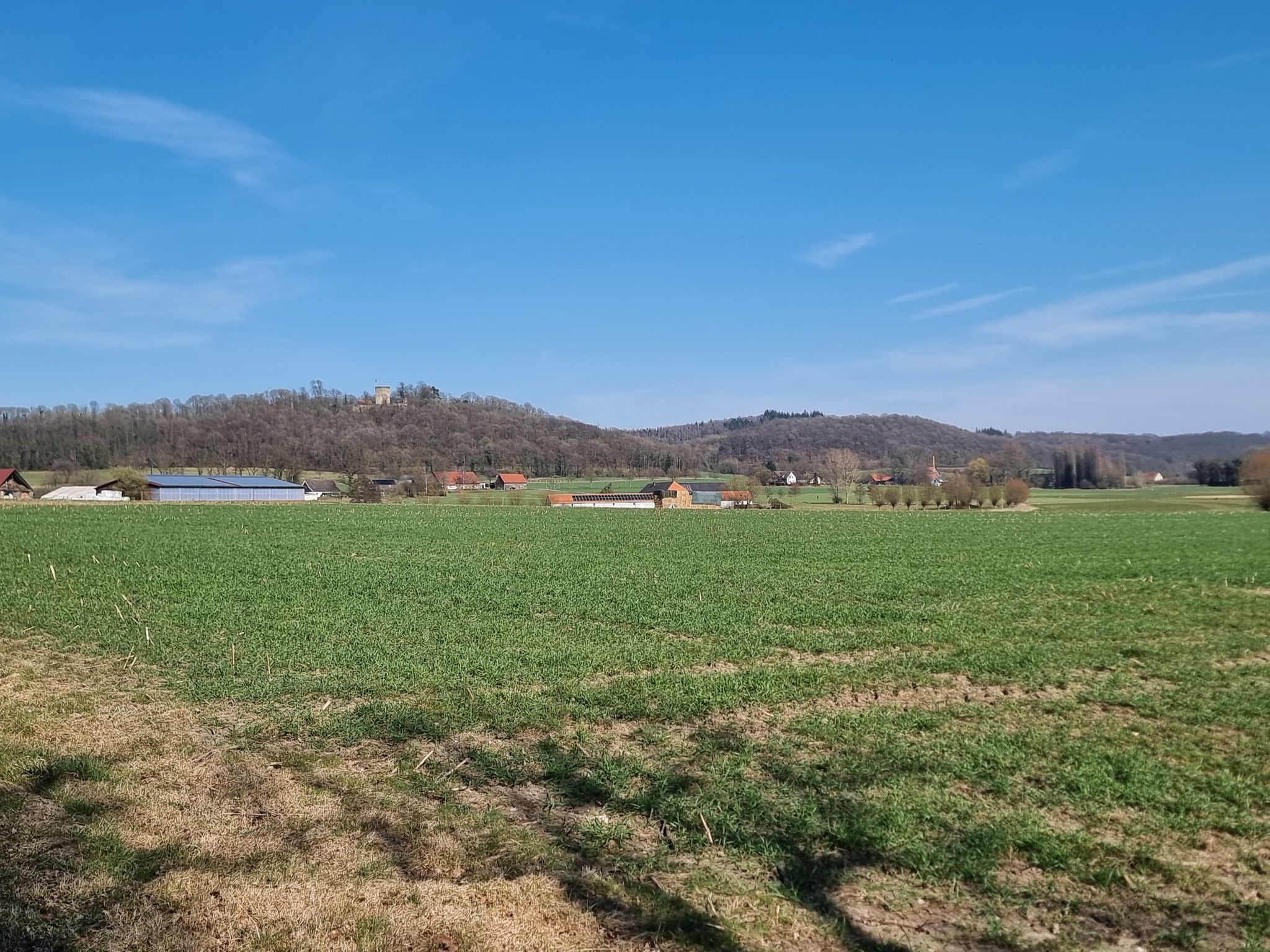 Blick auf die Burg Ravensberg