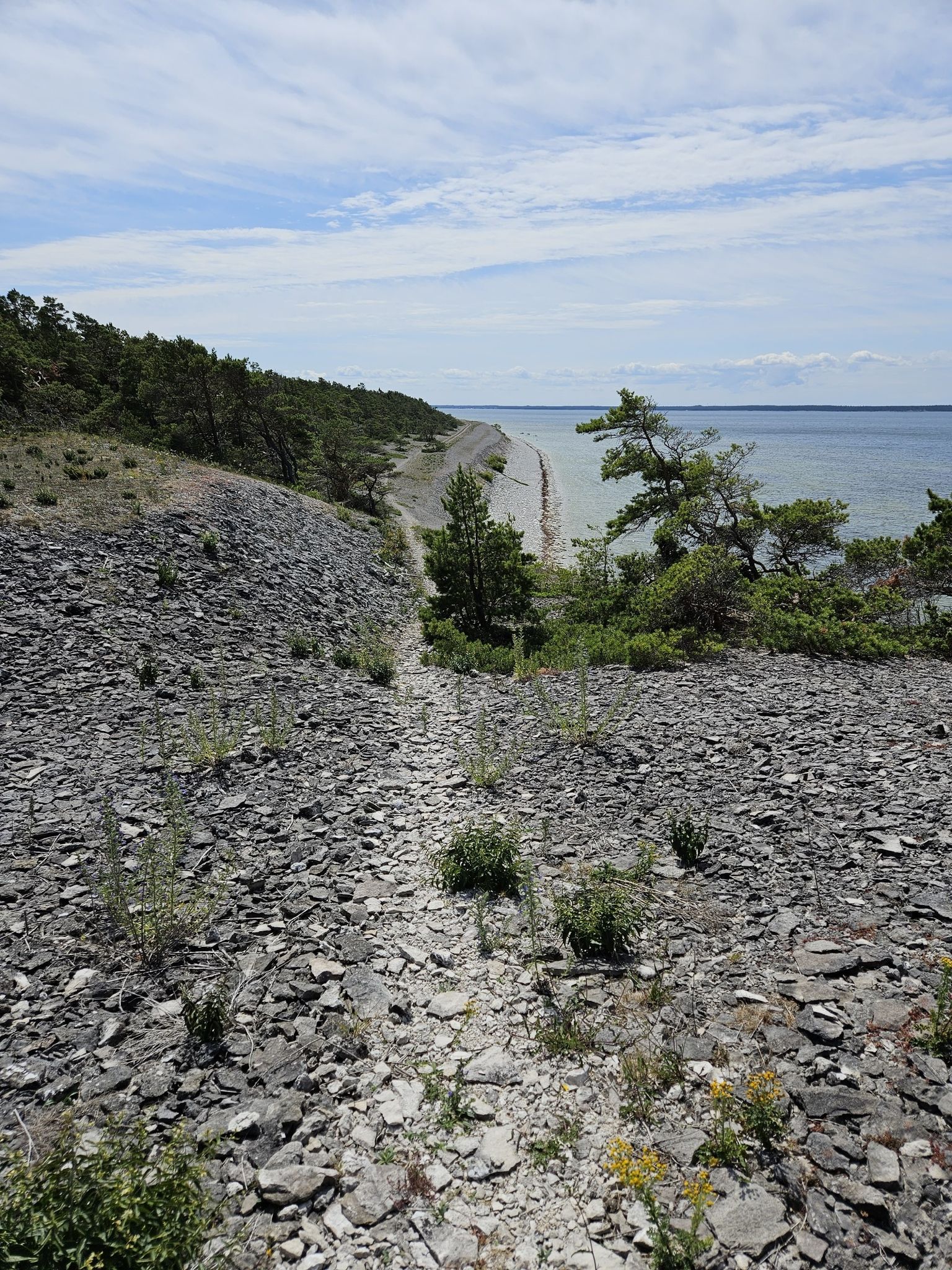 Wanderweg entlang der Steinküste bei Bläse