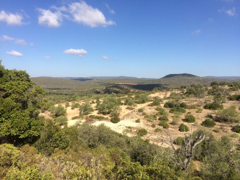 Wildnis pur