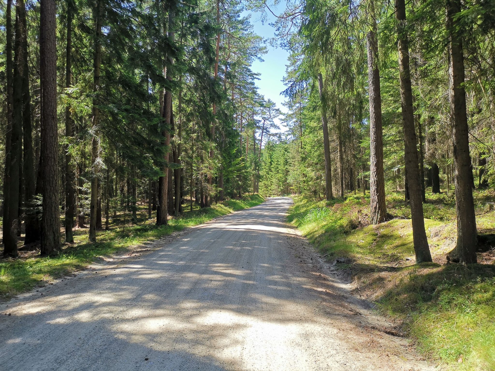 Wieder am Iron Curtain Trail – EuroVelo 13