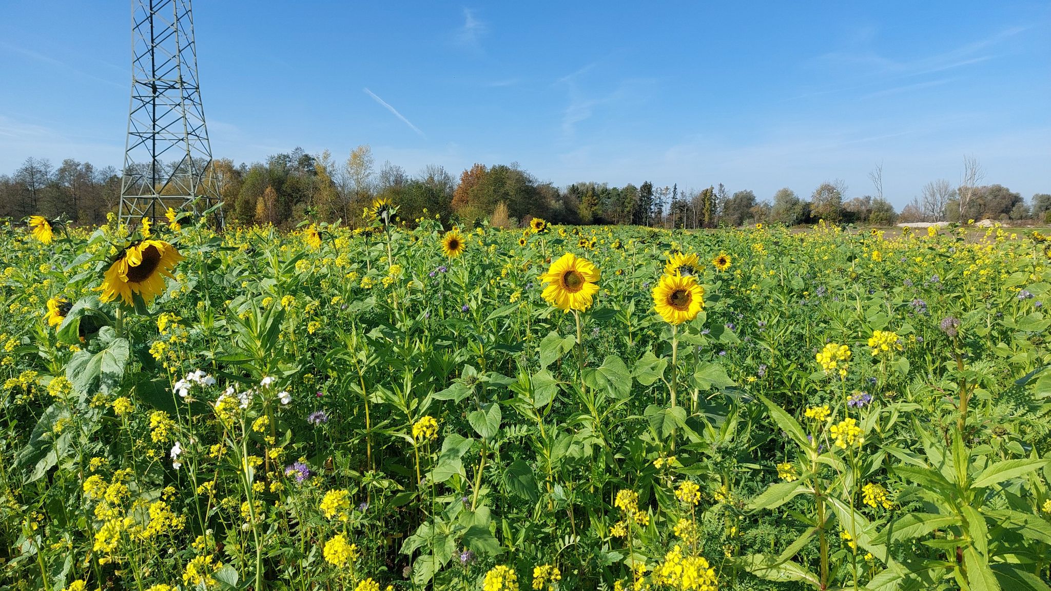 auf dem Weg nach Zustorf