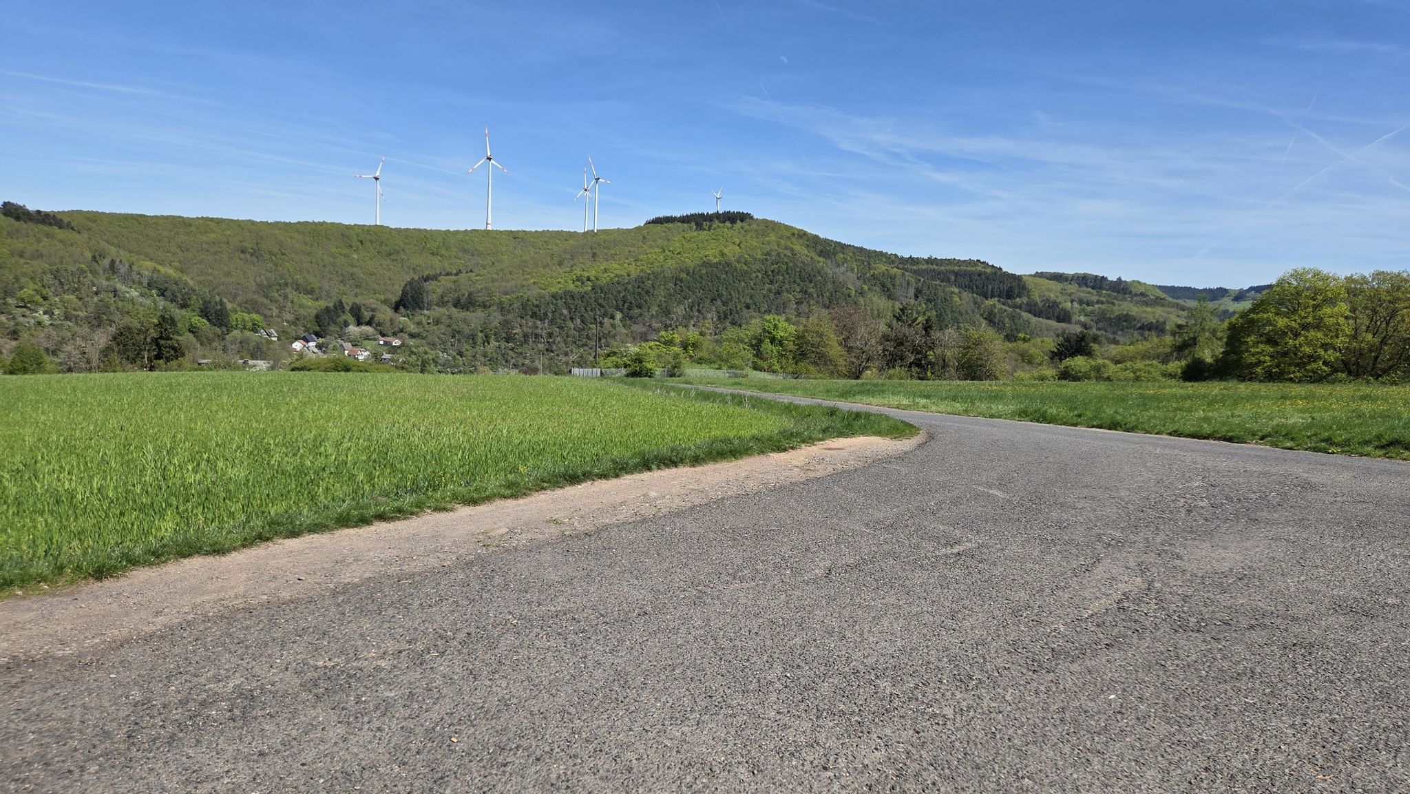 Mittelbollenbacher Höhe