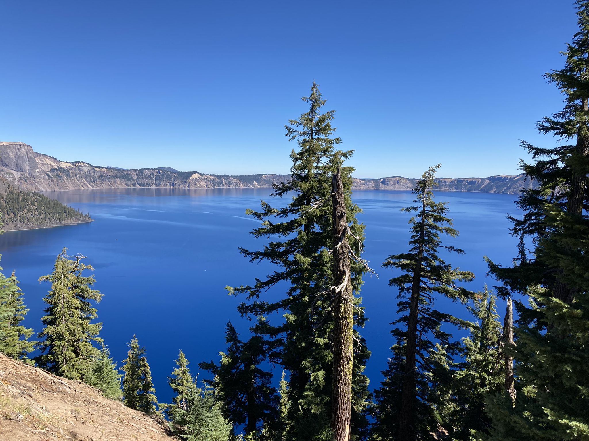Bright blue lake framed by tall pine trees, surrounded by distant cliffs. - Rim Drive loop around Crater Lake