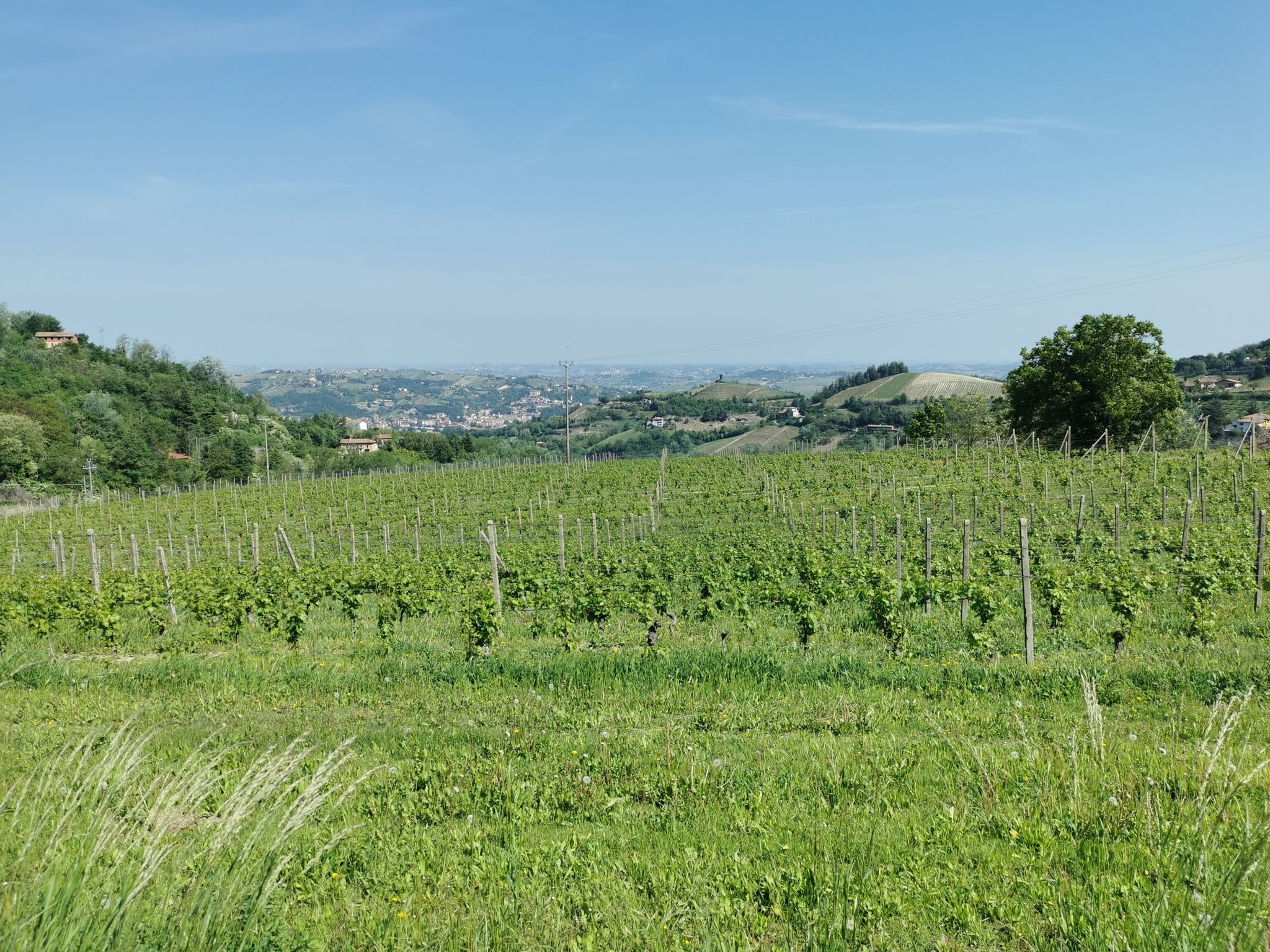 Verso Cassinasco