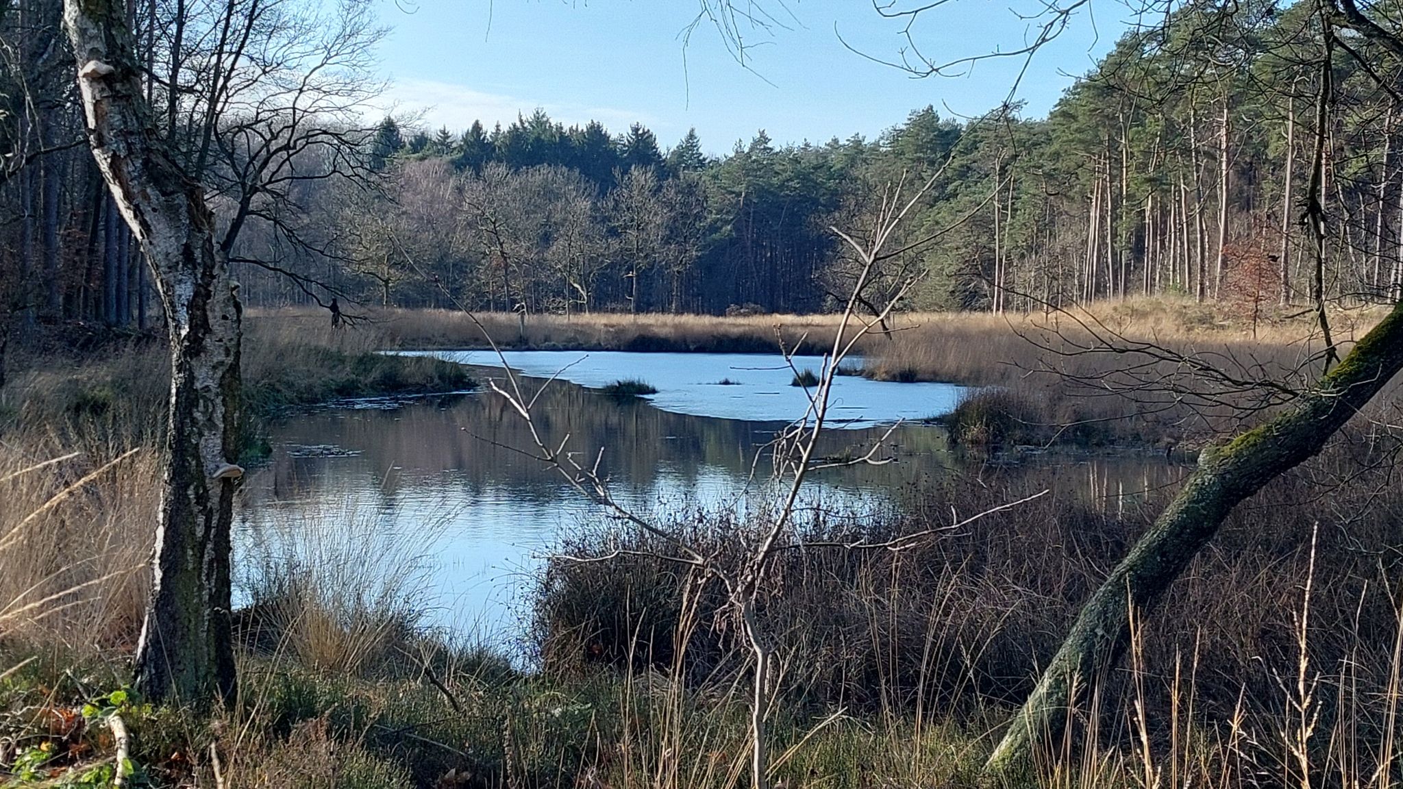 Heidesee in den Ritzroder Dünen