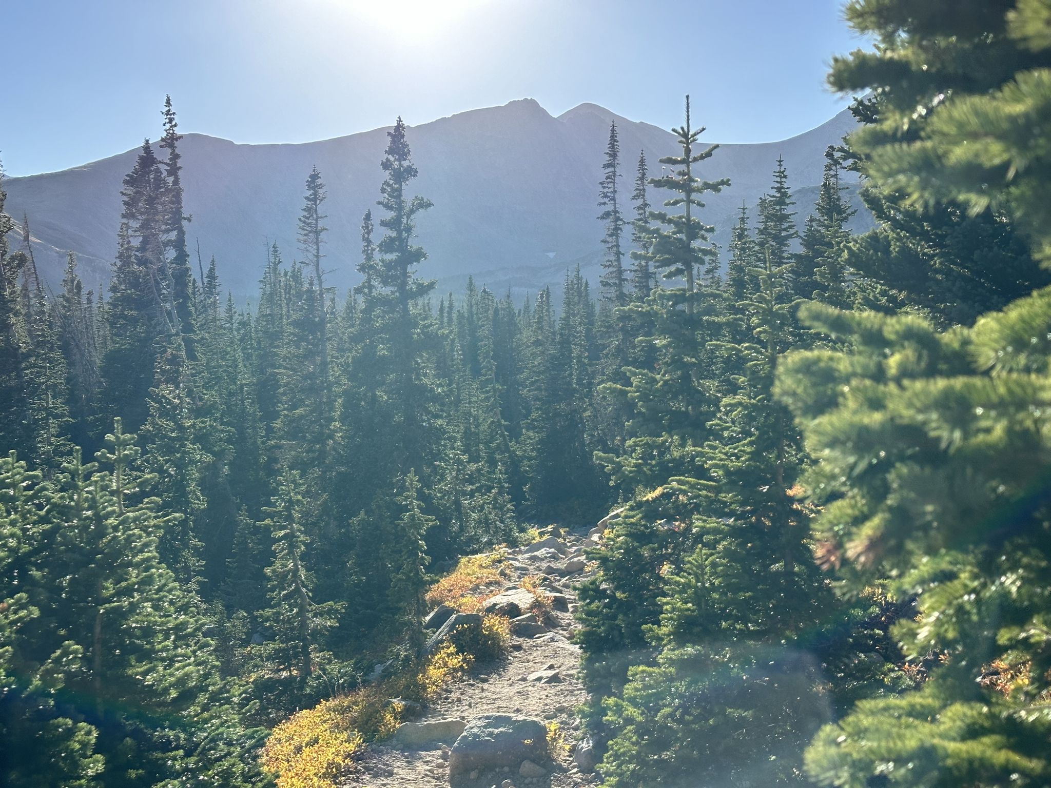 Sun-drenched forest path leading towards a hazy mountain peak. - Mount Audubon and Paiute Peak Loop