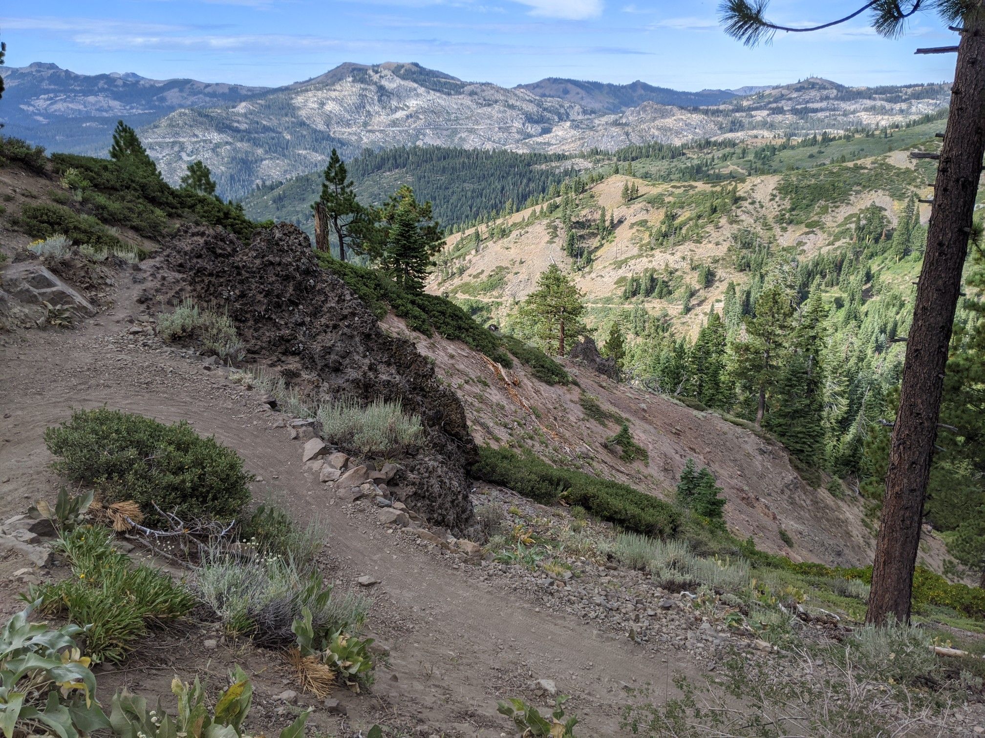 Dirt trail on a sunny hillside with distant mountains and pine trees. - Donner Lake Rim Trail