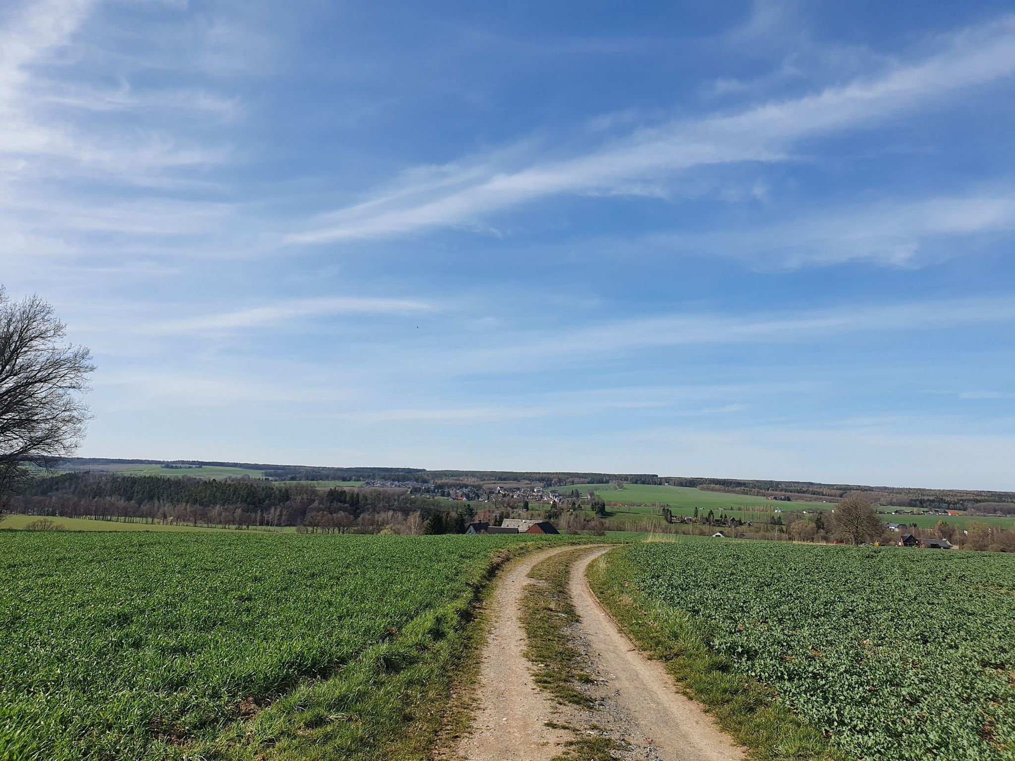 Blick auf Reudnitz