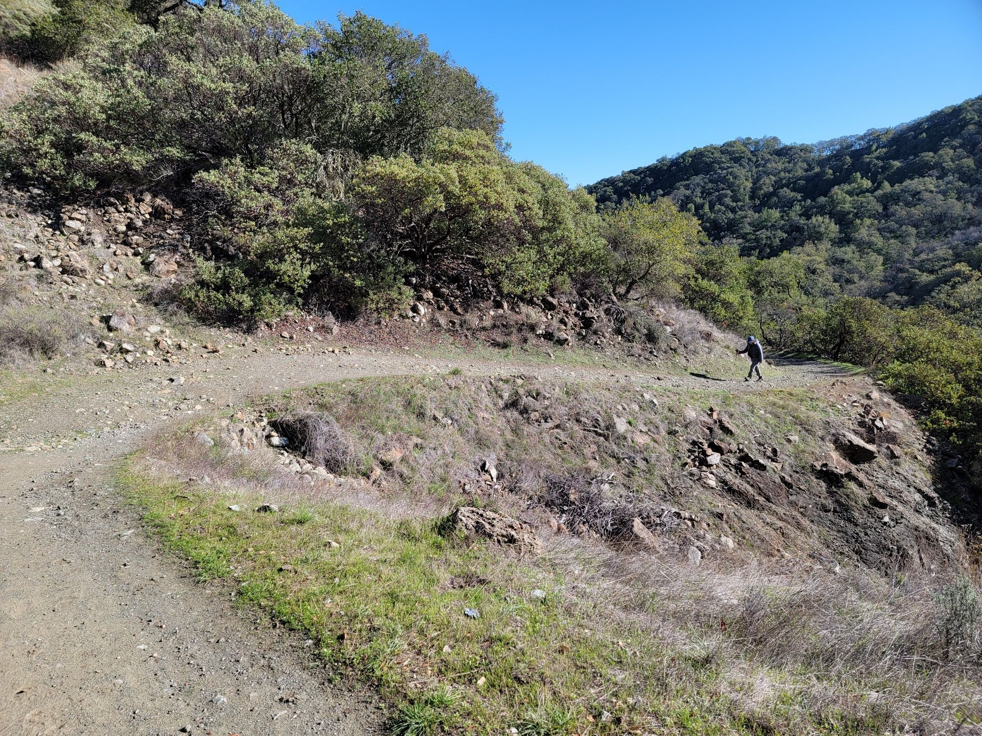 A person walks on a dirt path winding through sunny, green hills. - Bald Peaks Loop