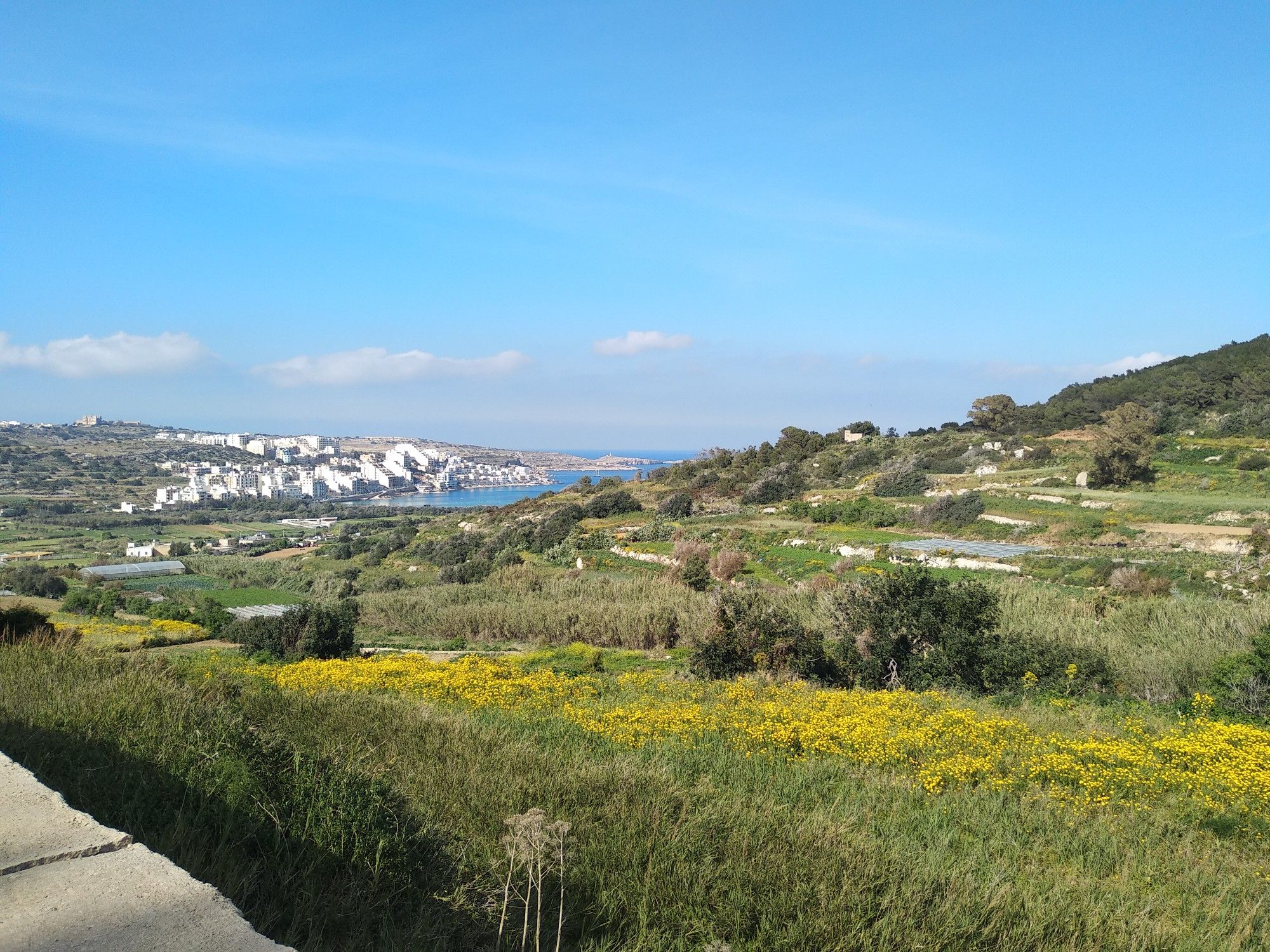 landscape